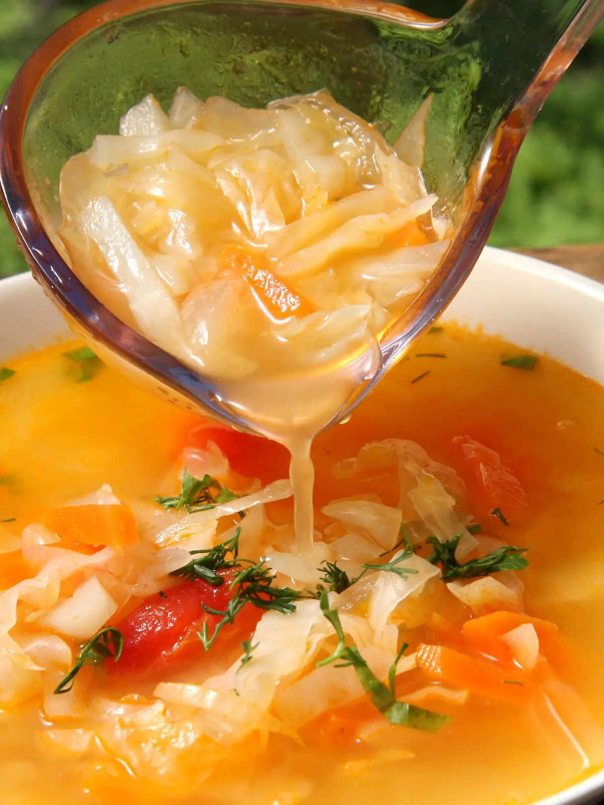 Russian cabbage soup schi