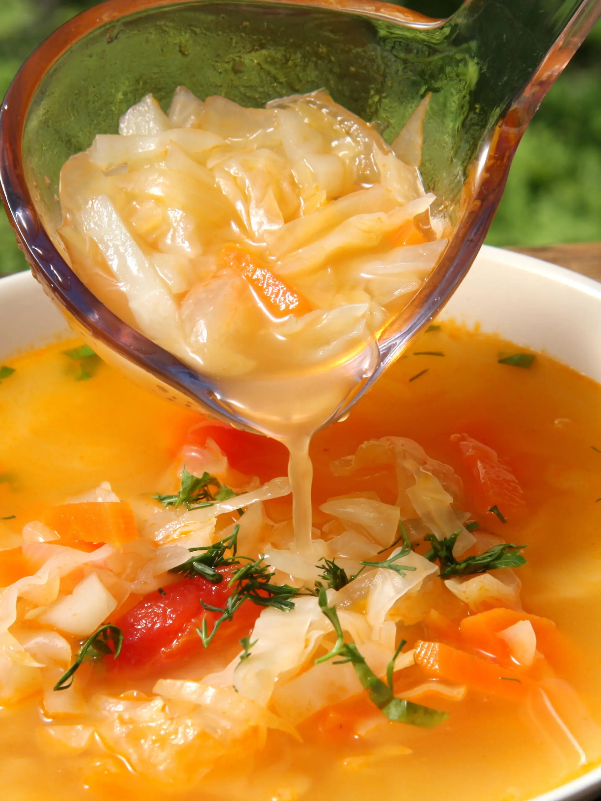 Russian cabbage soup schi
