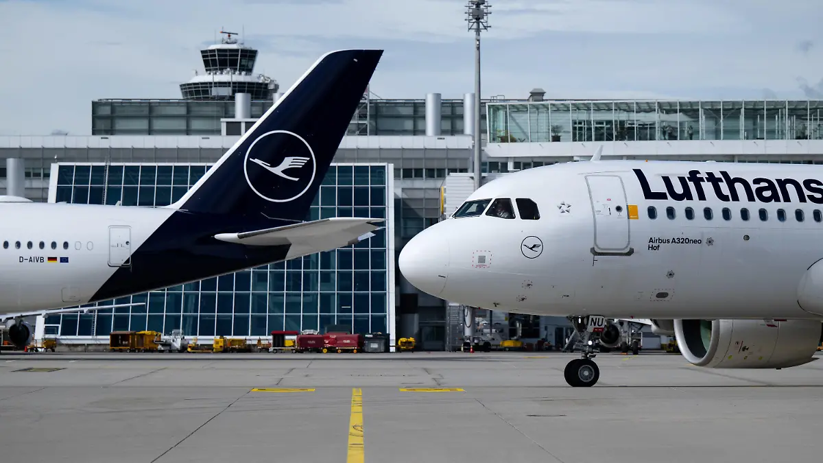 ARCHIV - 15.09.2022, Bayern, München: Flugzeuge der Lufthansa stehen am Flughafen München auf dem Rollfeld. (zu dpa: «Lufthansa will Langstreckenflüge in München stark ausbauen») Foto: Sven Hoppe/dpa +++ dpa-Bildfunk +++