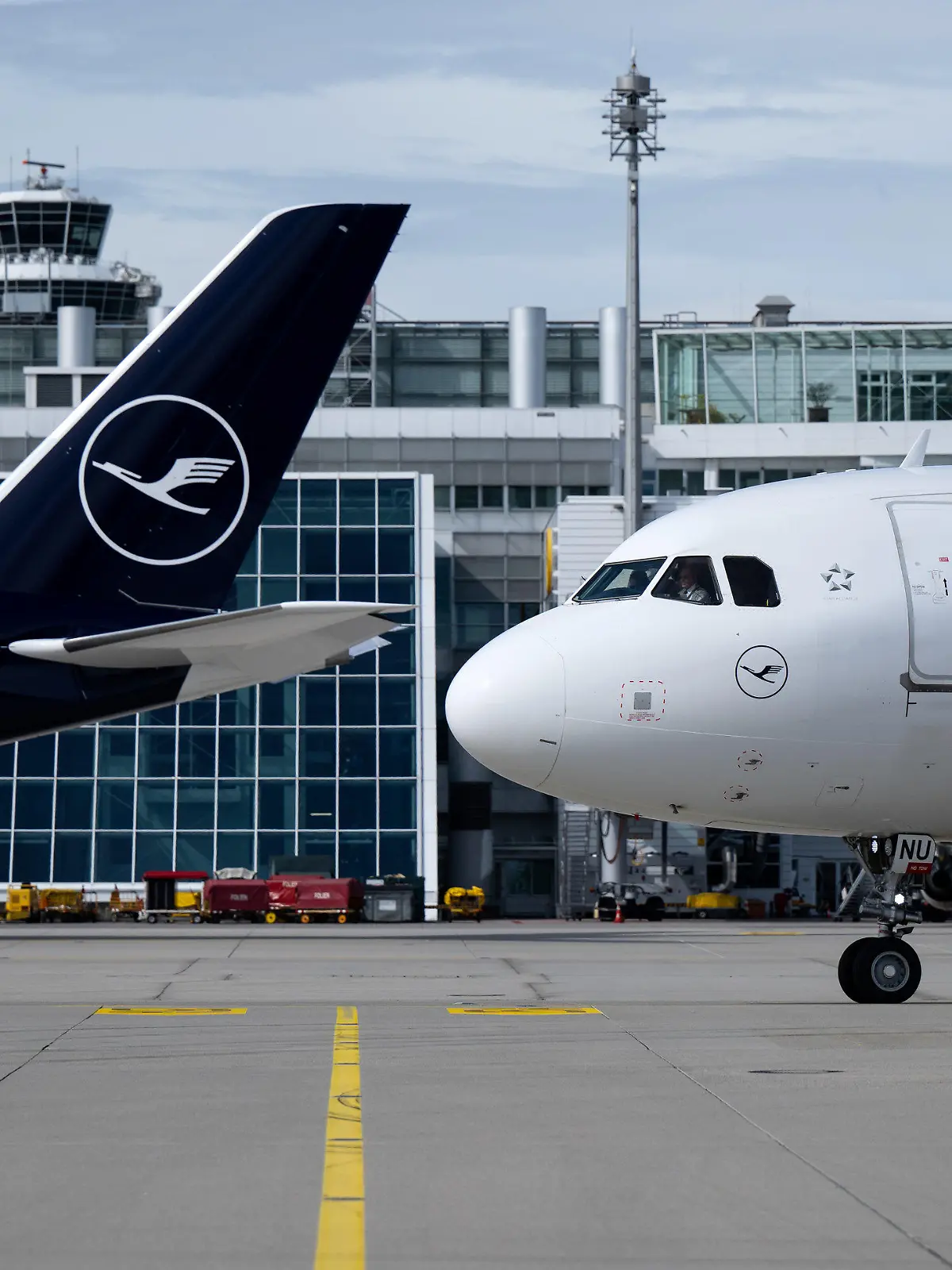 ARCHIV - 15.09.2022, Bayern, München: Flugzeuge der Lufthansa stehen am Flughafen München auf dem Rollfeld. (zu dpa: «Lufthansa will Langstreckenflüge in München stark ausbauen») Foto: Sven Hoppe/dpa +++ dpa-Bildfunk +++