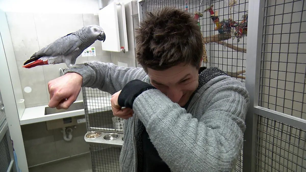 Einen Tag im Tierheim Schmidt macht mit