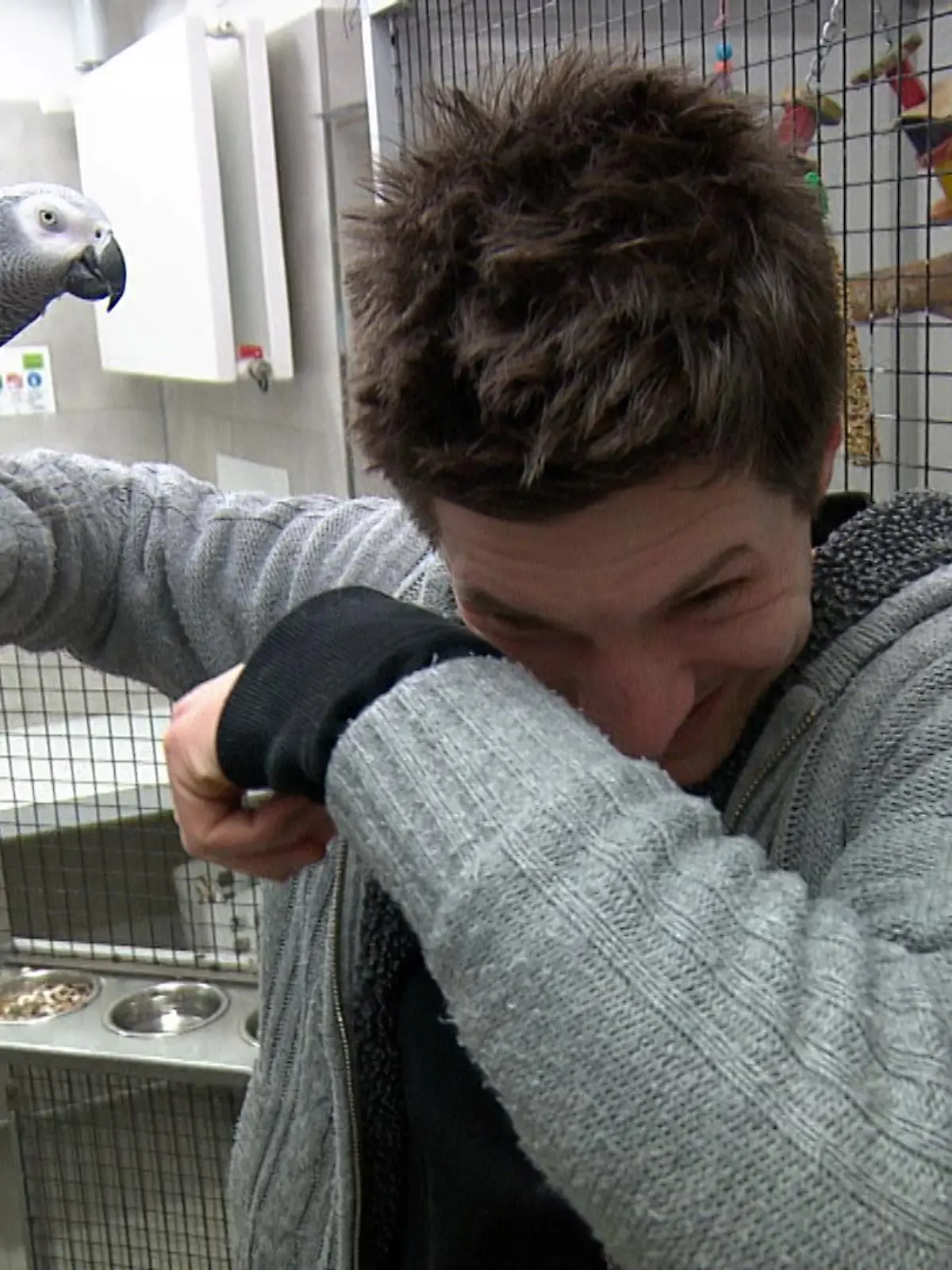 Bild zu: "Einen Tag im Tierheim"