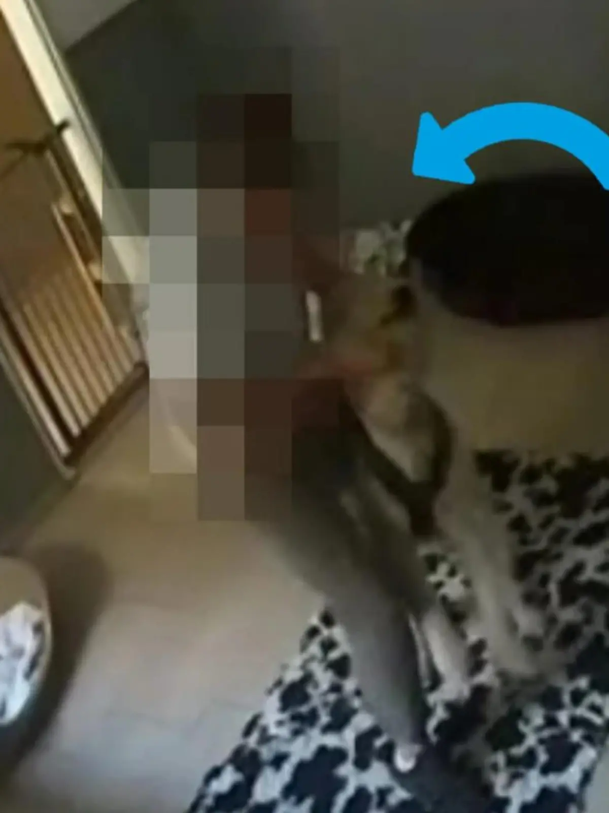 Bild einer Überwachungskamera auf der ein Mann einem Hund an den Ohren zieht.