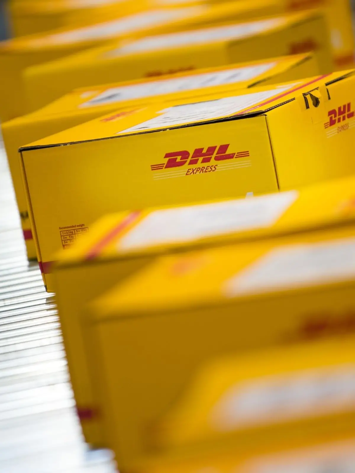 Pakete liegen auf einem Förderband an einem DHL Express Logistikstandort.