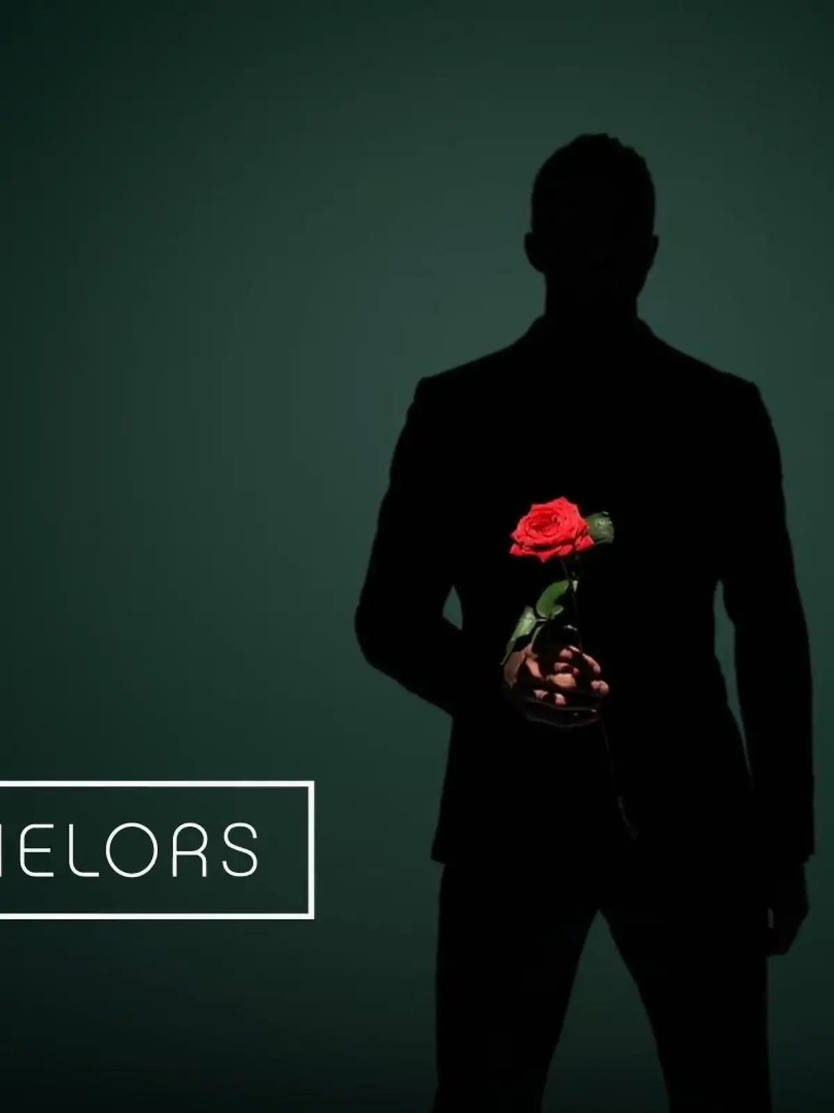 Die Bachelors
