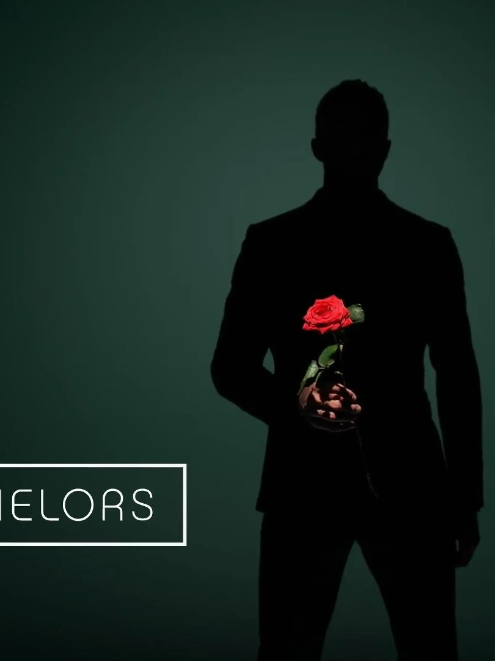 Die Bachelors