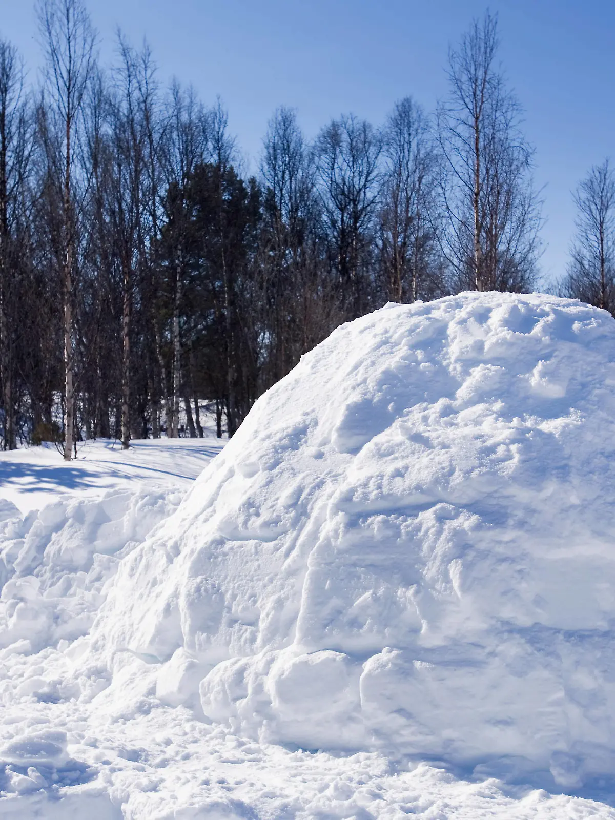 An igloo in a winter landscape Copyright: xTylerxOlsonx/xDesignxPicsx , 30808731 PUBLICATIONxINxGERxSUIxAUTxONLY Copyright: TylerxOlsonx/xDesignxPics 30808731