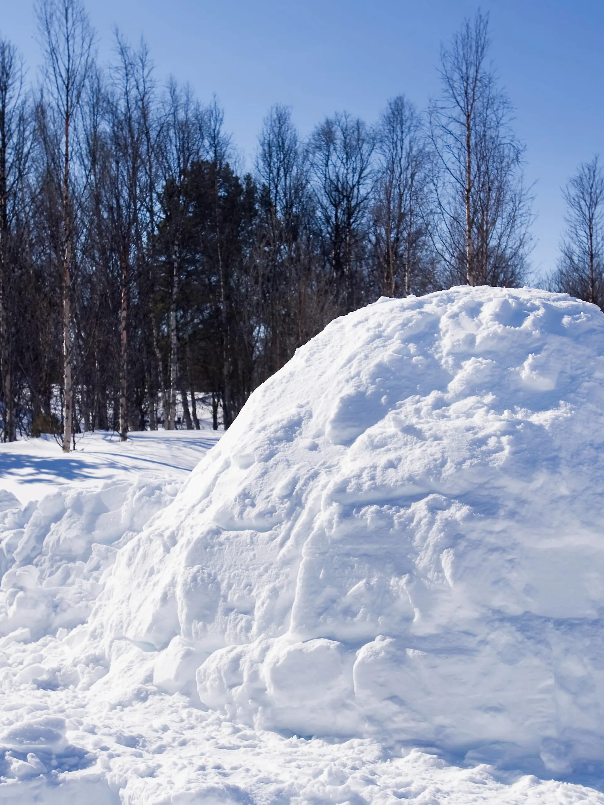 An igloo in a winter landscape Copyright: xTylerxOlsonx/xDesignxPicsx , 30808731 PUBLICATIONxINxGERxSUIxAUTxONLY Copyright: TylerxOlsonx/xDesignxPics 30808731