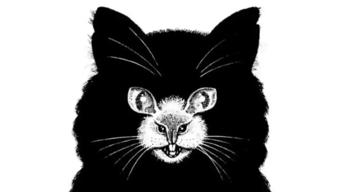 Optische Täuschung; Diese Bild zeigt eine Katze und eine Maus