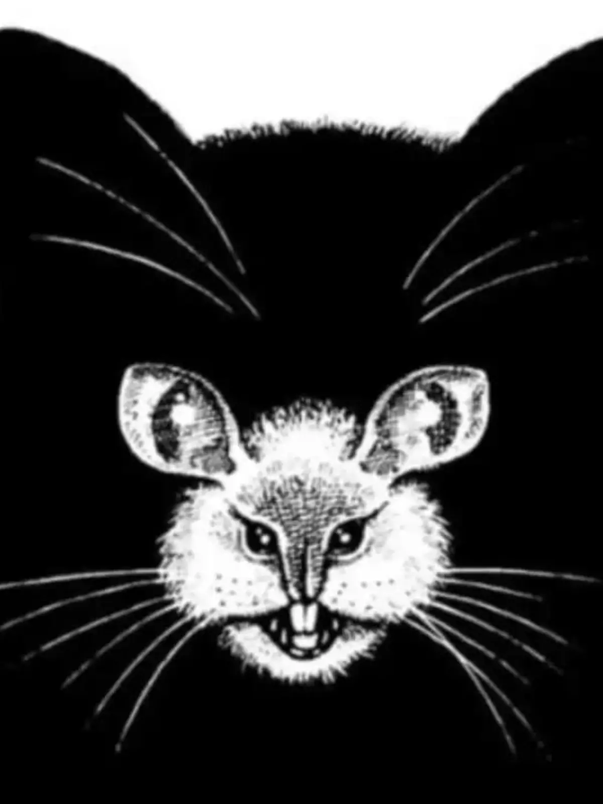 Optische Täuschung; Diese Bild zeigt eine Katze und eine Maus