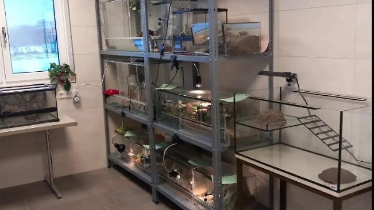 Reptilienzimmer