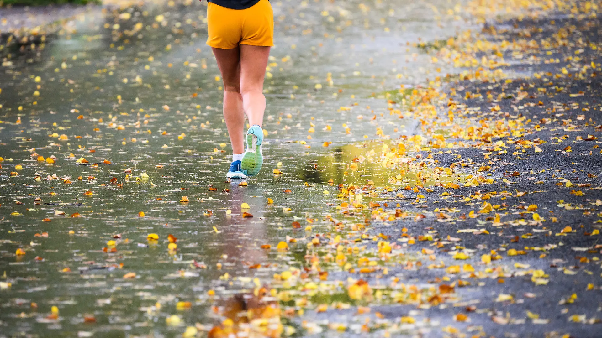 13.10.2023, Niedersachsen, Hannover: Eine Frau joggt bei Regen zwischen Pfützen und herbstlich verfärbten Blättern. Ab dem Wochenende wird es nach dem vielerorts spätsommerlichen Wetter herbstlicher. Foto: Julian Stratenschulte/dpa +++ dpa-Bildfunk +++