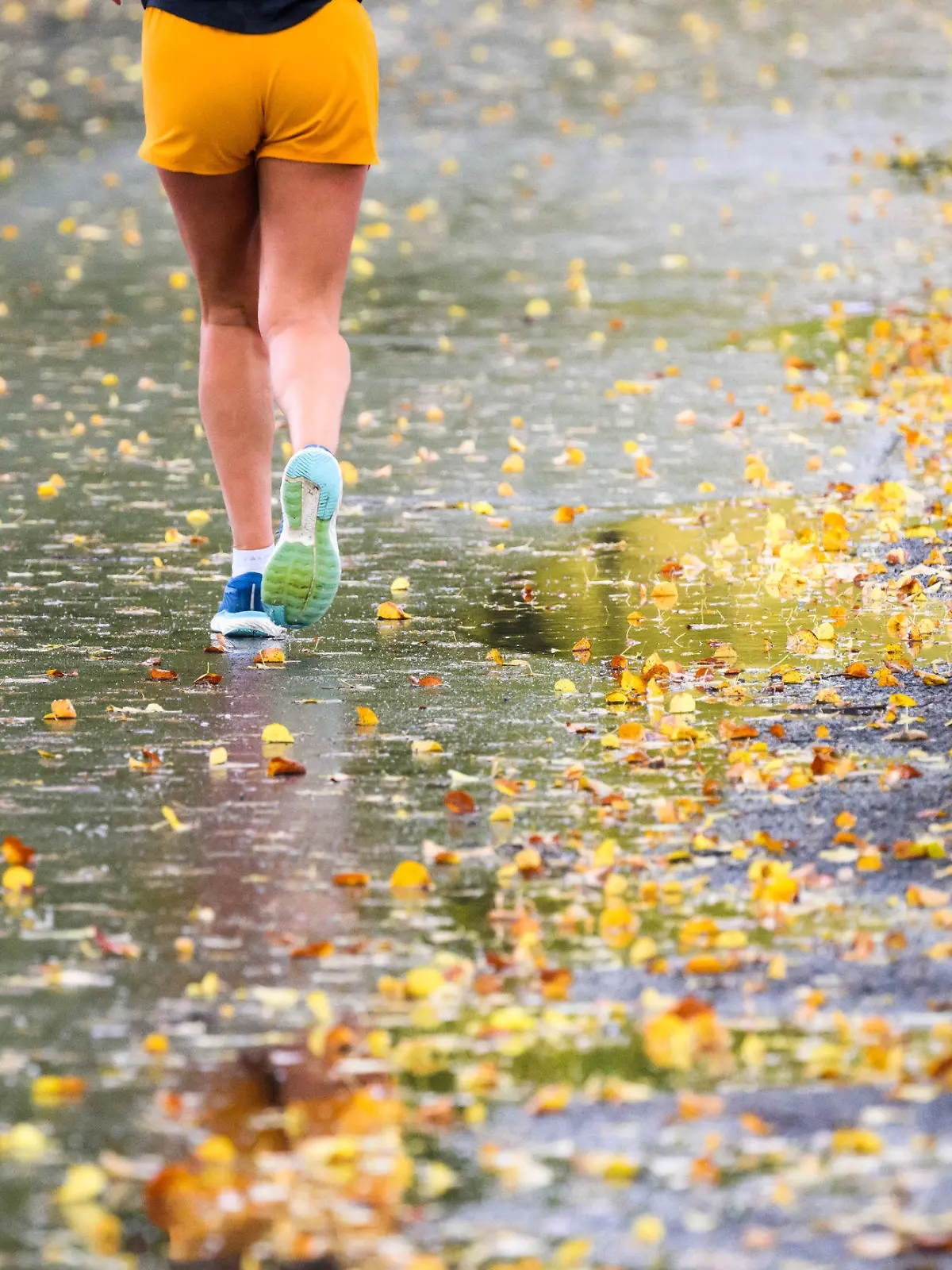 13.10.2023, Niedersachsen, Hannover: Eine Frau joggt bei Regen zwischen Pfützen und herbstlich verfärbten Blättern. Ab dem Wochenende wird es nach dem vielerorts spätsommerlichen Wetter herbstlicher. Foto: Julian Stratenschulte/dpa +++ dpa-Bildfunk +++