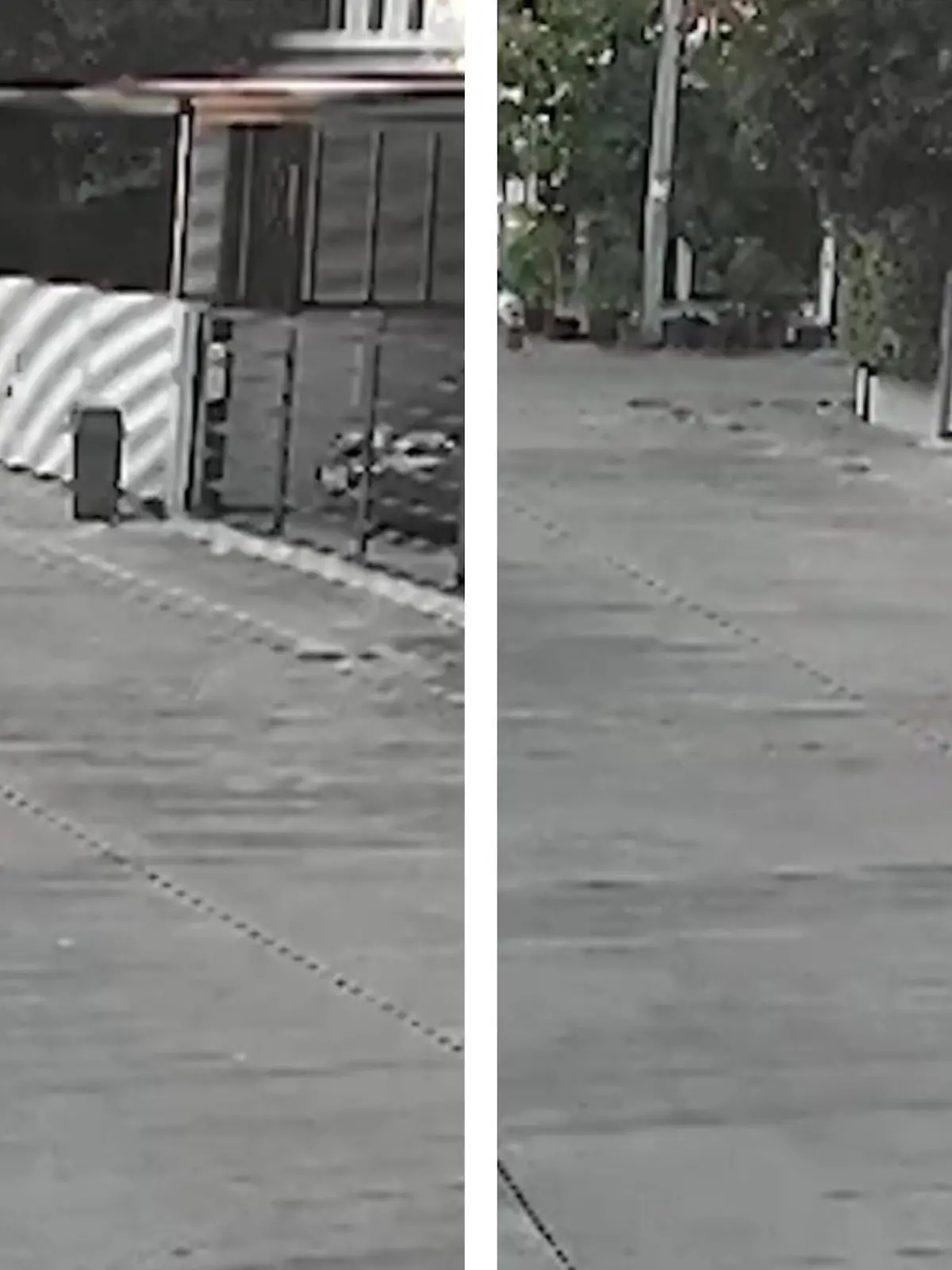 Damit hat er wirklich nicht gerechnet! Ein kleiner Junge aus Thailand will draußen etwas Ballspielen - und wird plötzlich von einer Krähe attackiert! Immer wieder stürzt der Vogel auf das Kind zu und jagt es durch die Straße. Dem Kind bleibt nur eines: die Flucht zu Mama.