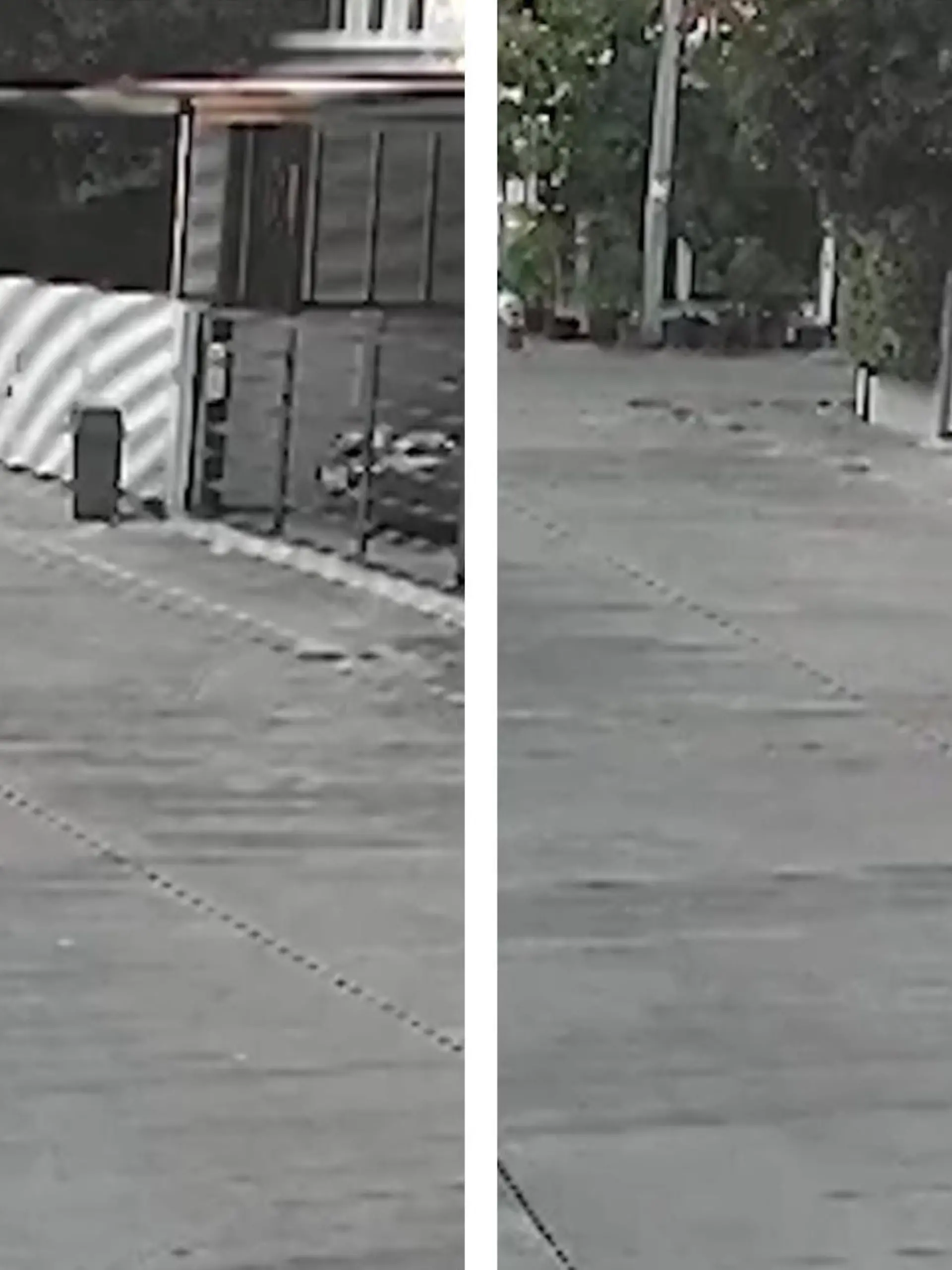 Damit hat er wirklich nicht gerechnet! Ein kleiner Junge aus Thailand will draußen etwas Ballspielen - und wird plötzlich von einer Krähe attackiert! Immer wieder stürzt der Vogel auf das Kind zu und jagt es durch die Straße. Dem Kind bleibt nur eines: die Flucht zu Mama.