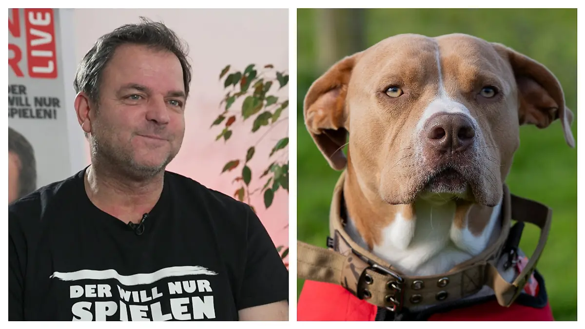Martin Rütter und ein Hund in einer Collage