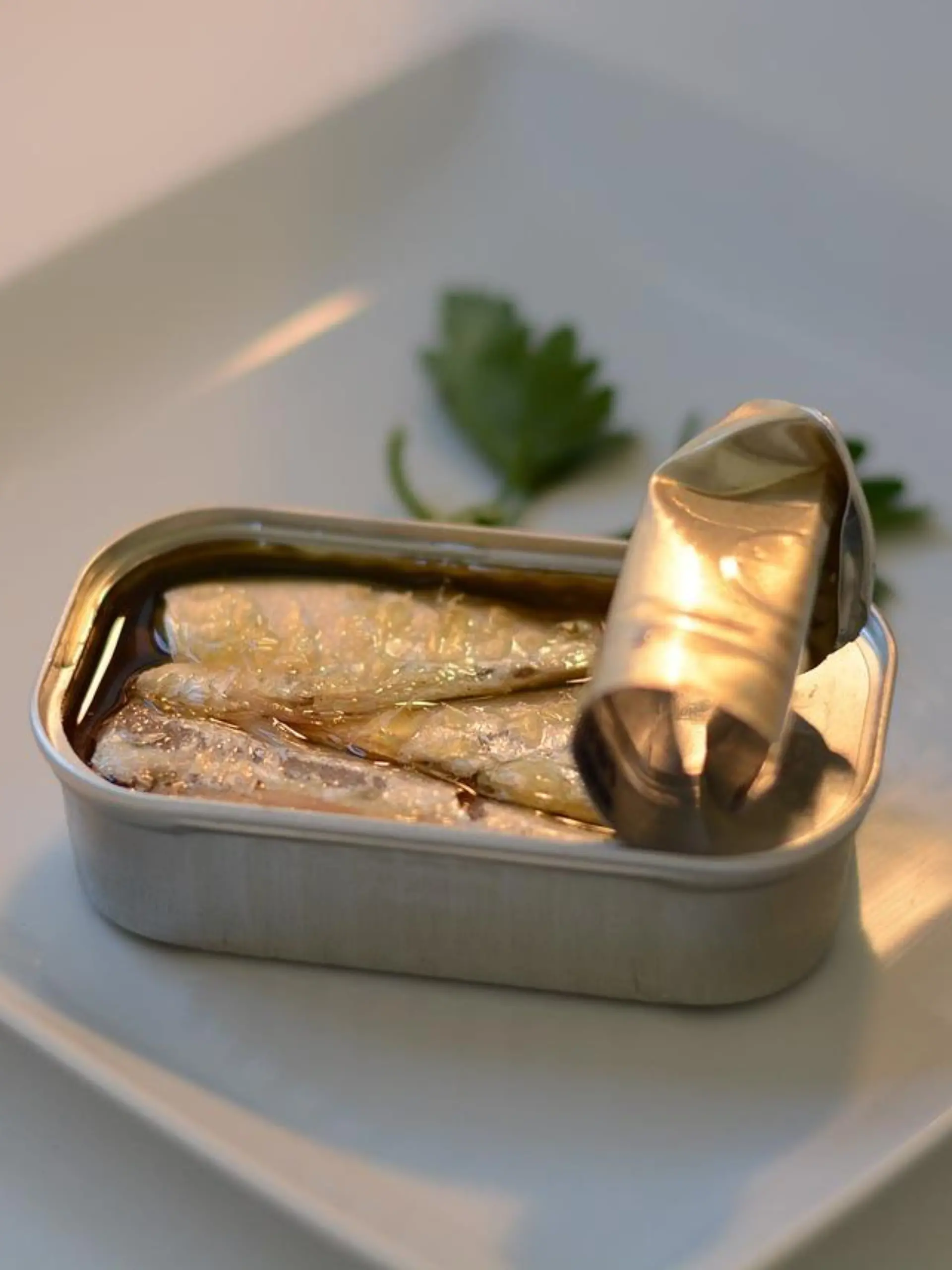 Die selbstgemachten Sardinen-Konserven vergiften 16 Menschen. (Symbolbild)