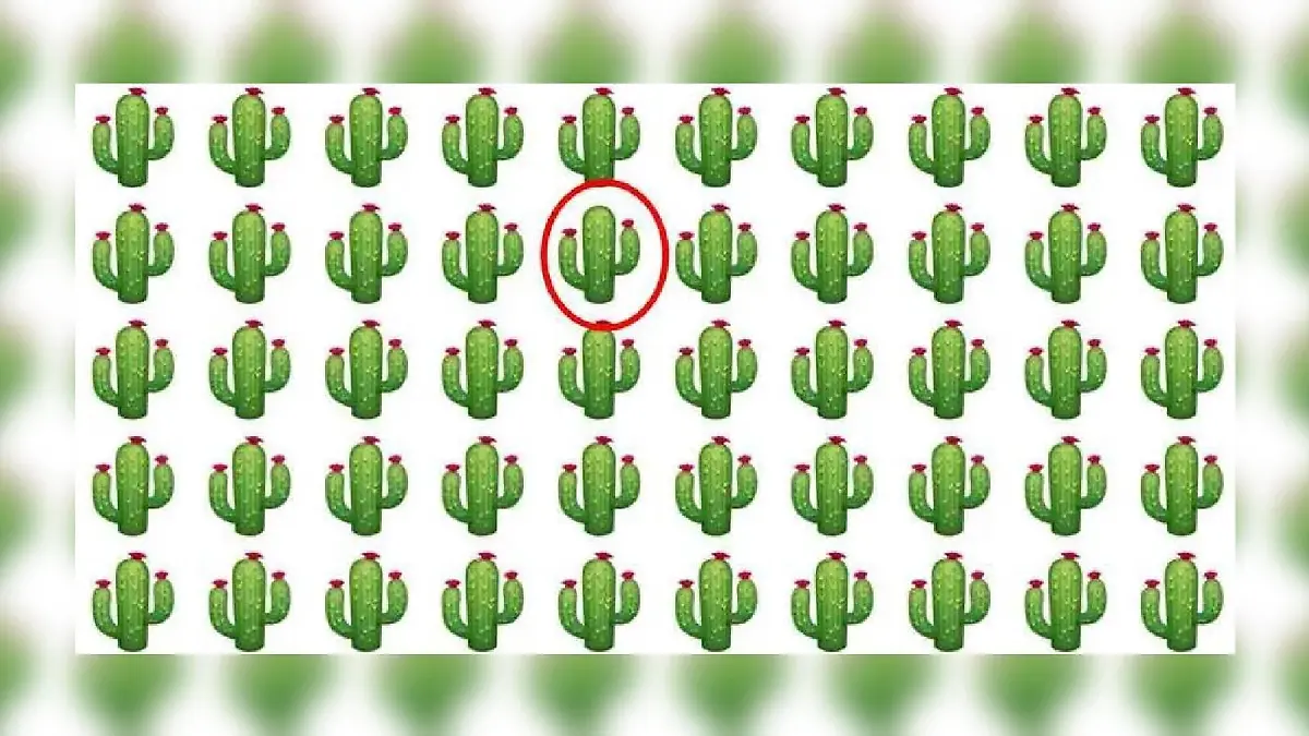 Suchbild