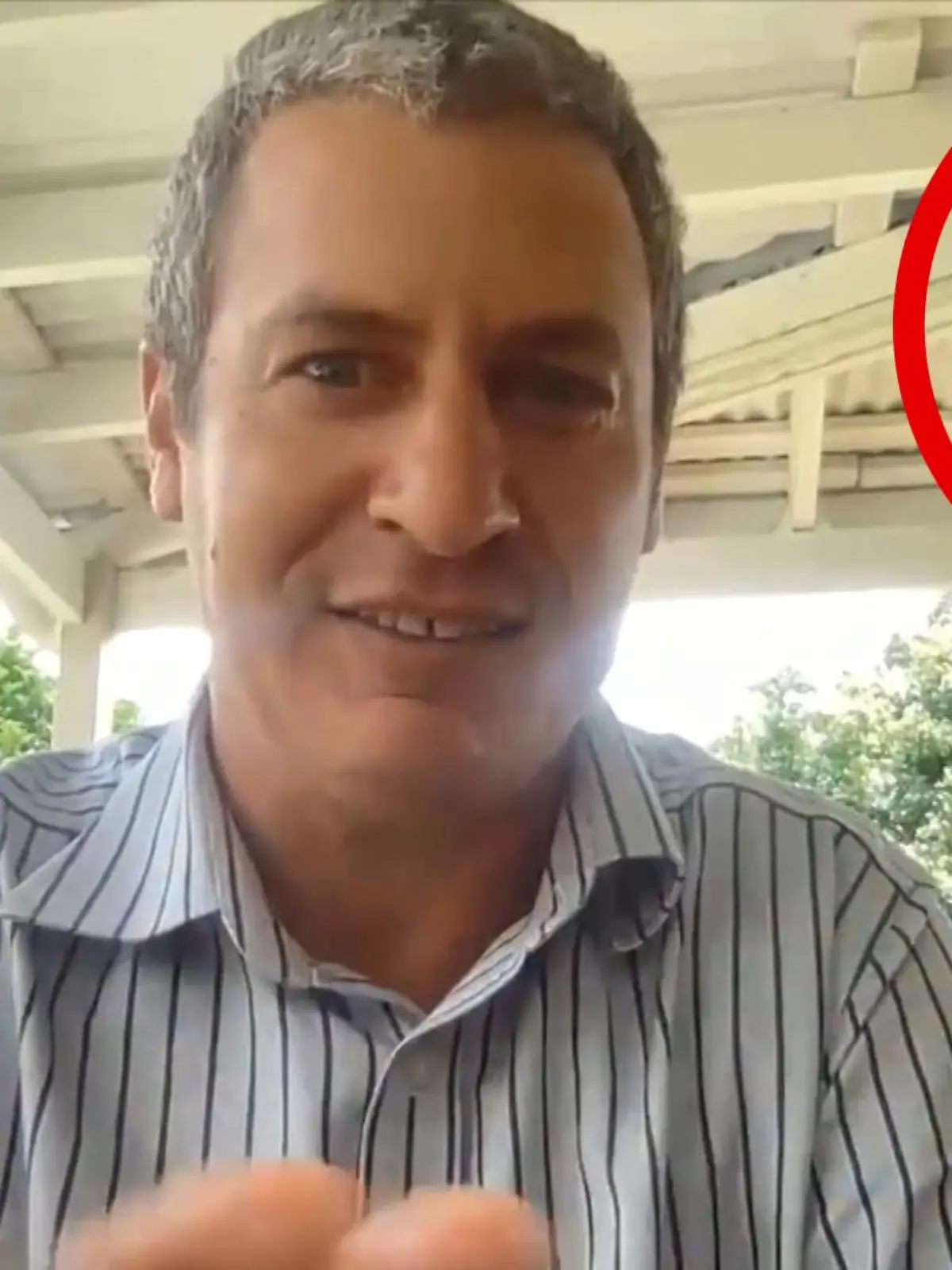 Überraschung! Während Andrew Ward einen Podcast aufnimmt, baumelt plötzlich eine Schlange von der Decke seiner Veranda ins Bild. Seine Gesprächspartner reagieren überrascht, doch Ward begrüßt den Gast mit einer großen Portion Humor.