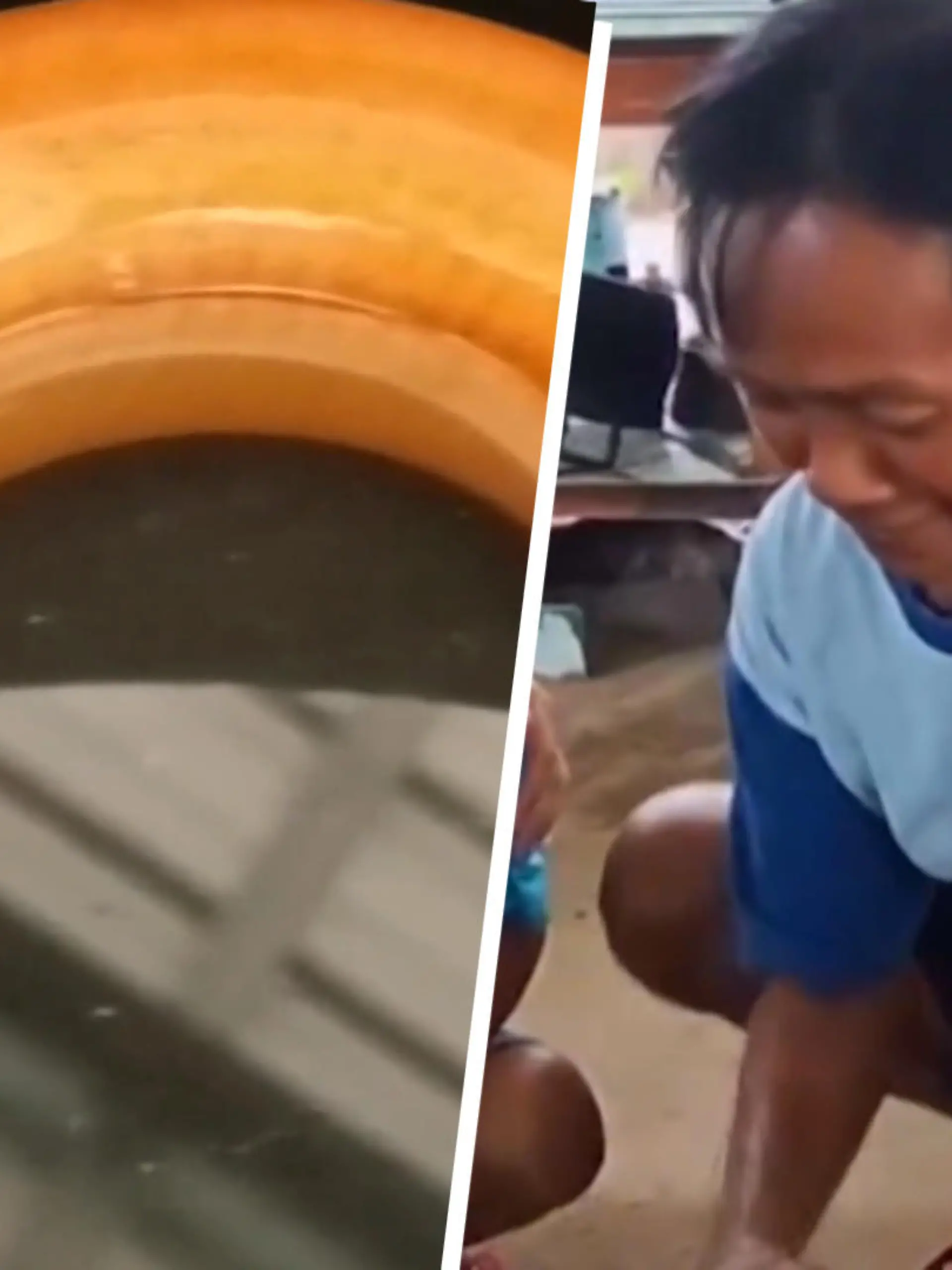 In einem thailändischen Dorf hat ein Bauer eine ganz besondere Entdeckung gemacht. So ein ungewöhnliches Tier hat er in seinem Leben noch nicht gesehen.