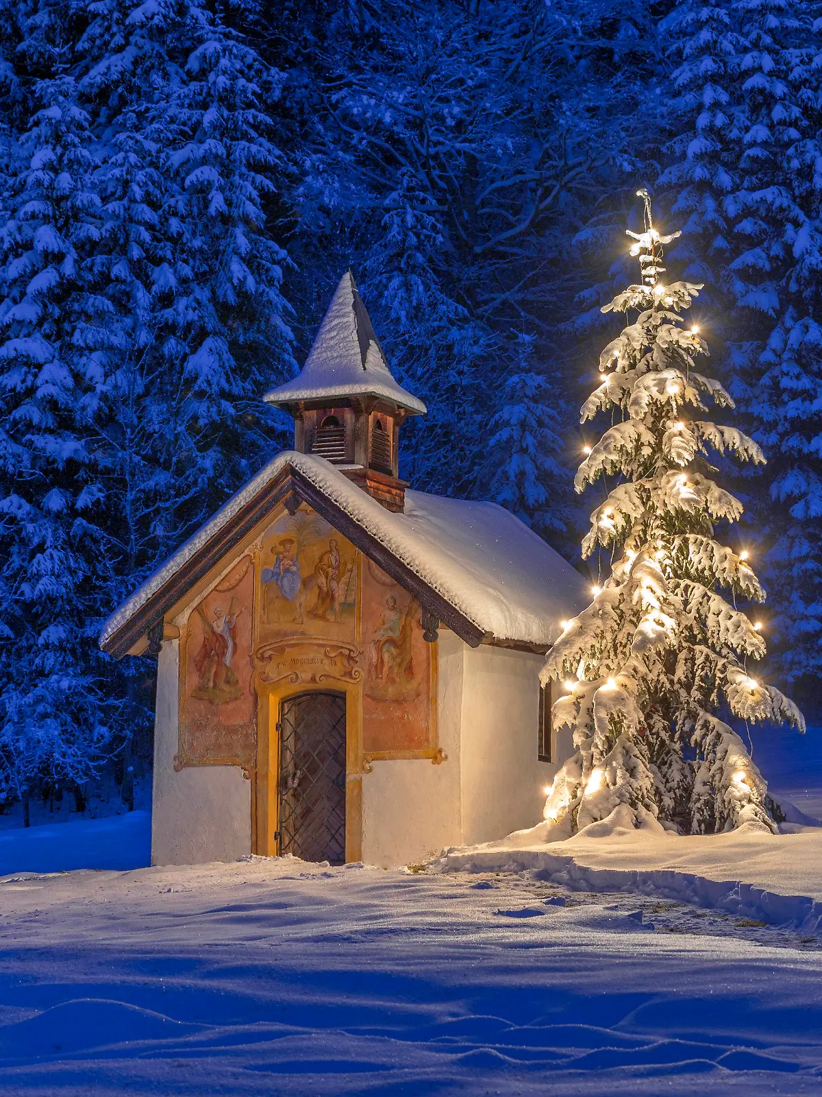 Beleuchteter Christbaum vor einer Kapelle im Winter, Bayern, Oberbayern, Deutschland, Europa Beleuchteter Weihnachtsbaum mit Kapelle bei Nacht, Winterlandschaft, Bayern, Deutschland *** Illuminated Christmas tree in front of a chapel in winter, Bavaria, Upper Bavaria, Germany, Europe Illuminated Christmas tree with chapel at night, winter landscape, Bavaria, Germany 