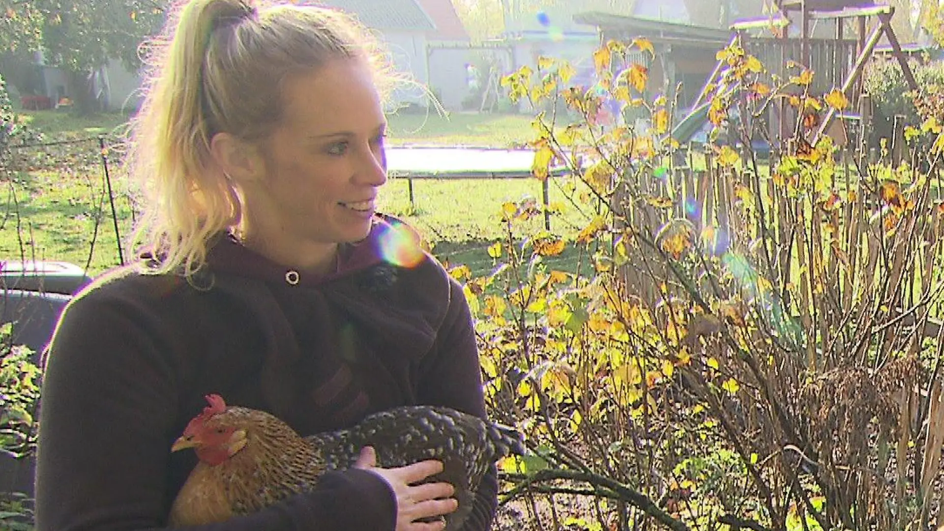 RTL-Nord-Reporterin Isabell Jensen ist aufs Huhn gekommen.