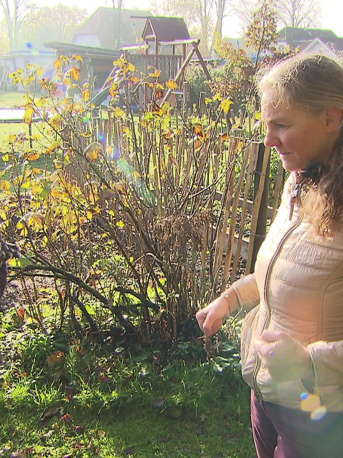RTL-Nord-Reporterin Isabell Jensen ist aufs Huhn gekommen.