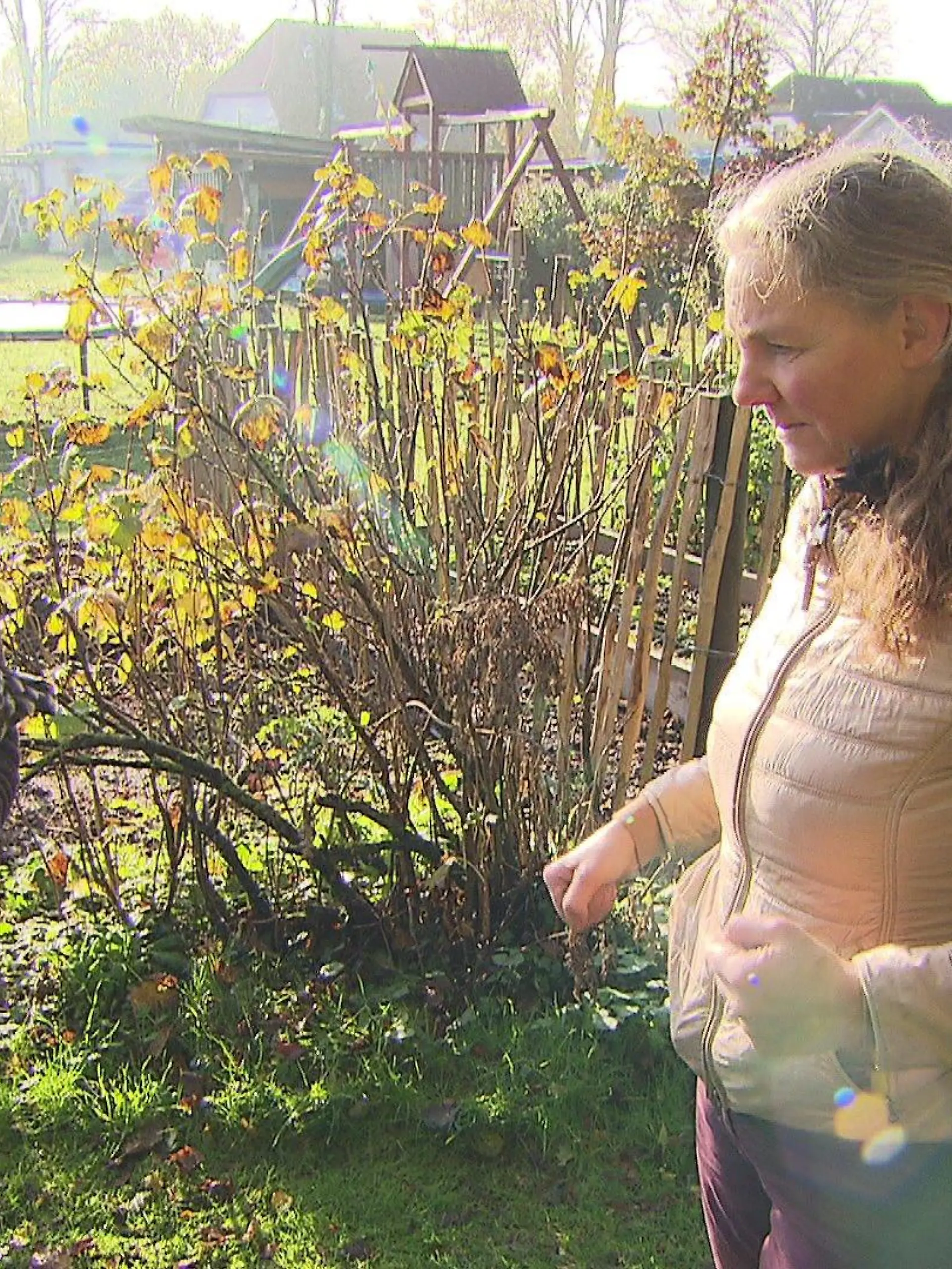 RTL-Nord-Reporterin Isabell Jensen ist aufs Huhn gekommen.