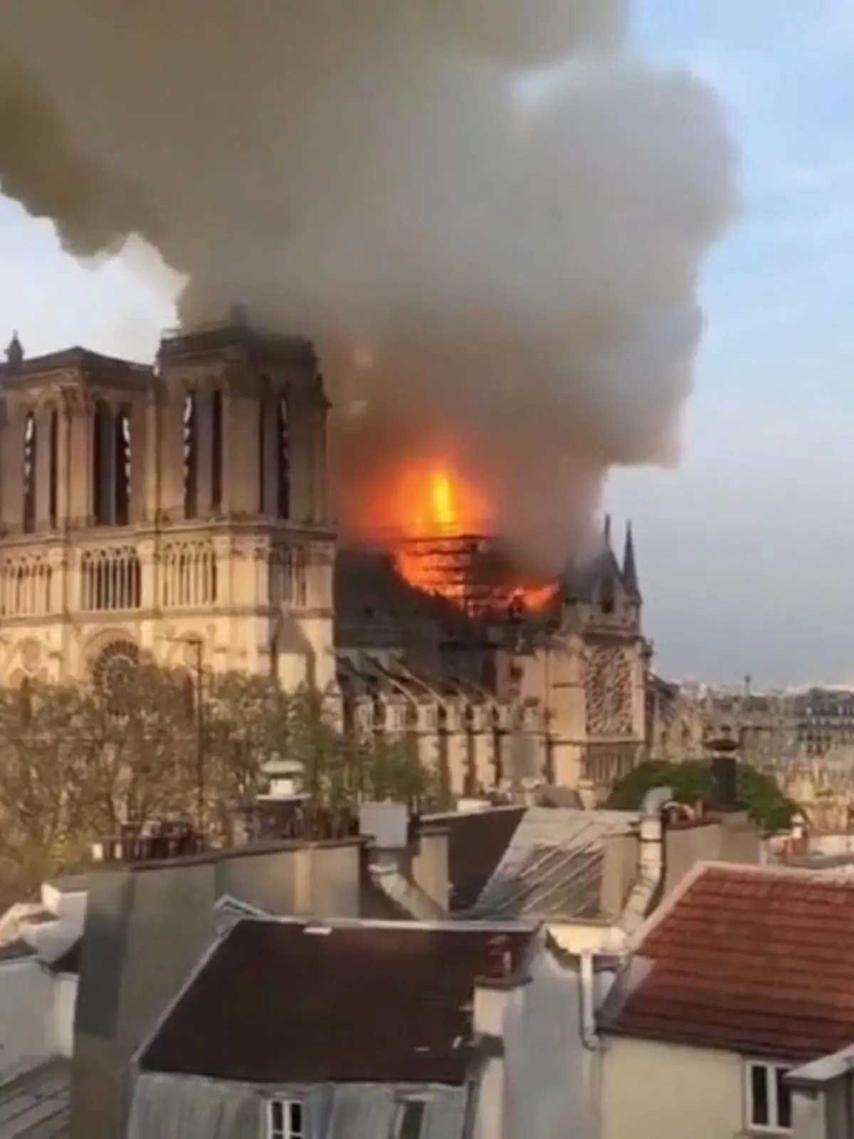 Bild zu: "Fenster der Kathedrale in Köln"