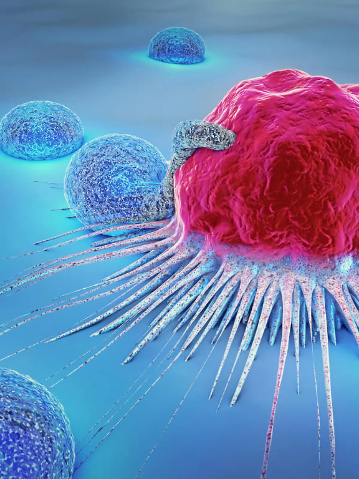 3d illustration of a cancer cell and lymphocytes