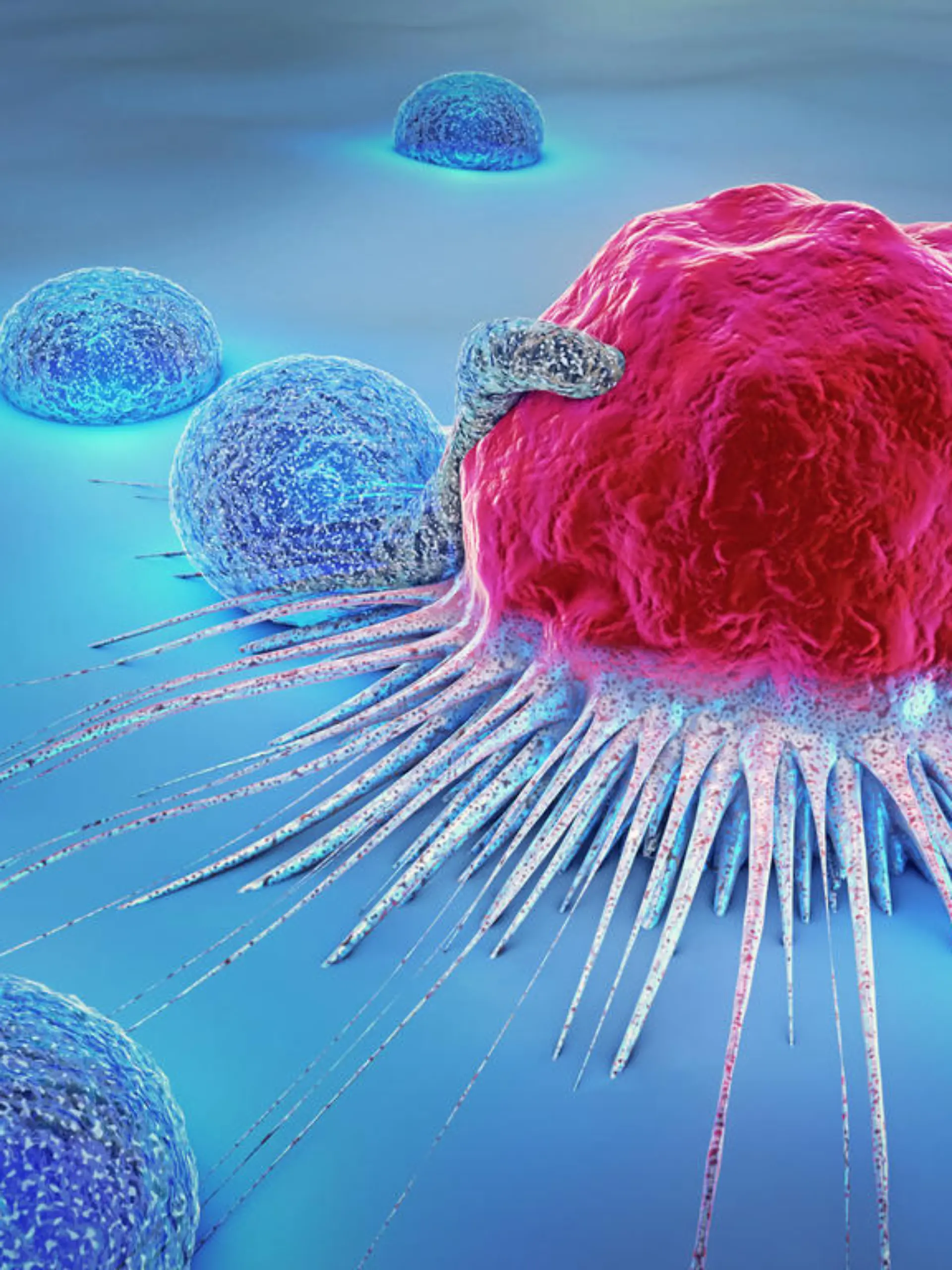 3d illustration of a cancer cell and lymphocytes