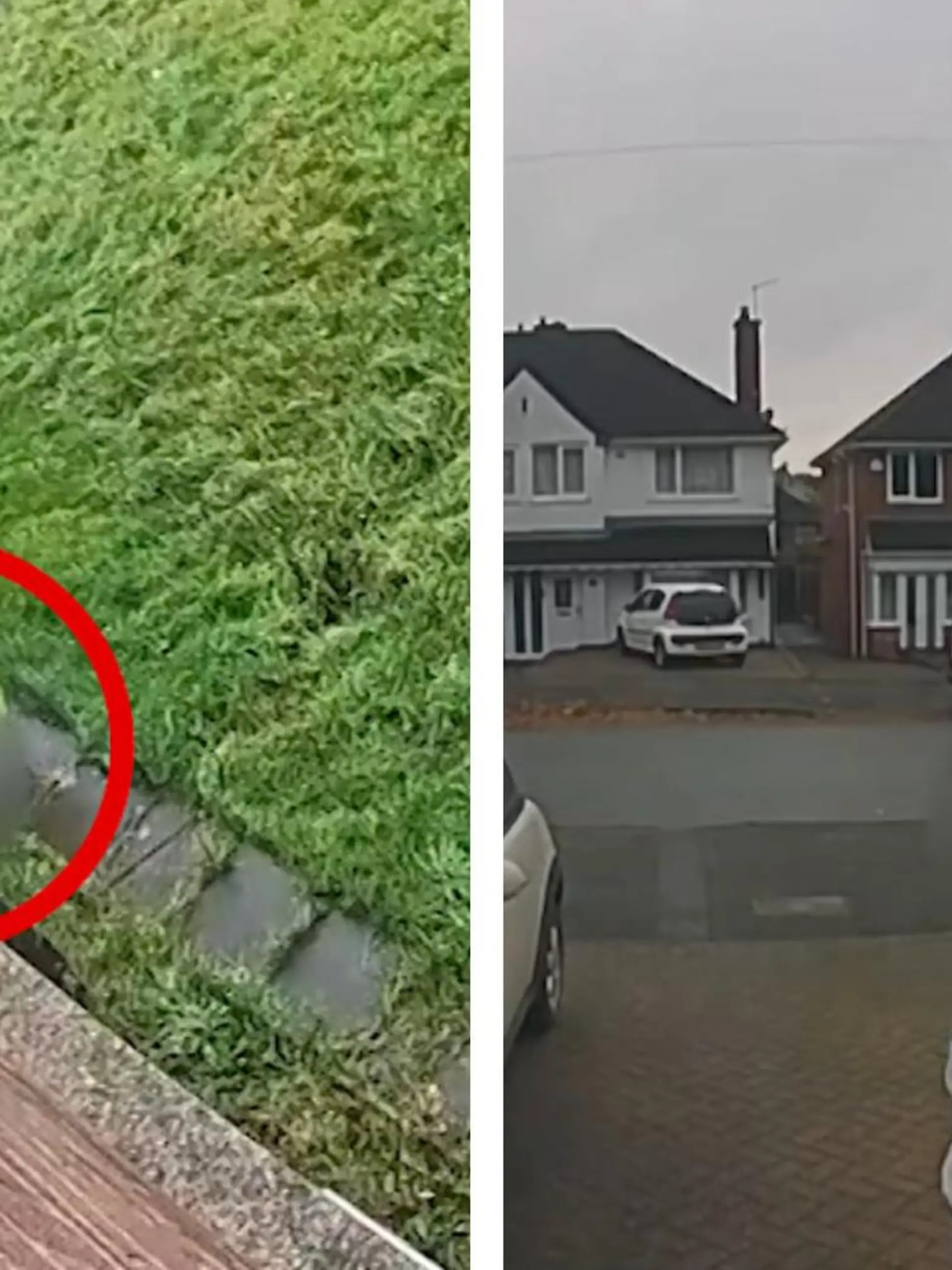Mit dieser Lieferung hat er nicht gerechnet! Sammy erwartet ein Paket. Doch als er die Überwachungsaufnahmen seines Hauses ansieht, muss er feststellen: Bevor die Paketbotin sein Päckchen anliefert, pinkelt sie an seine Hauswand.