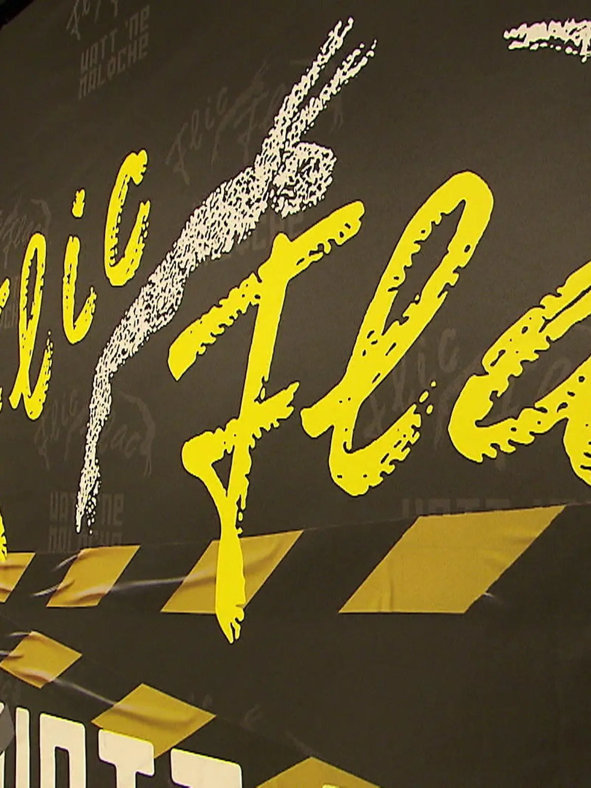 Bild zu: "Flic Flac-Premiere in Duisburg "