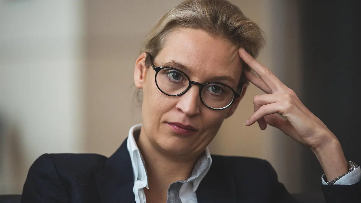 AfD Politikerin Alice Weidel im Reichstag *** AfD politician Alice Weidel in the Reichstag