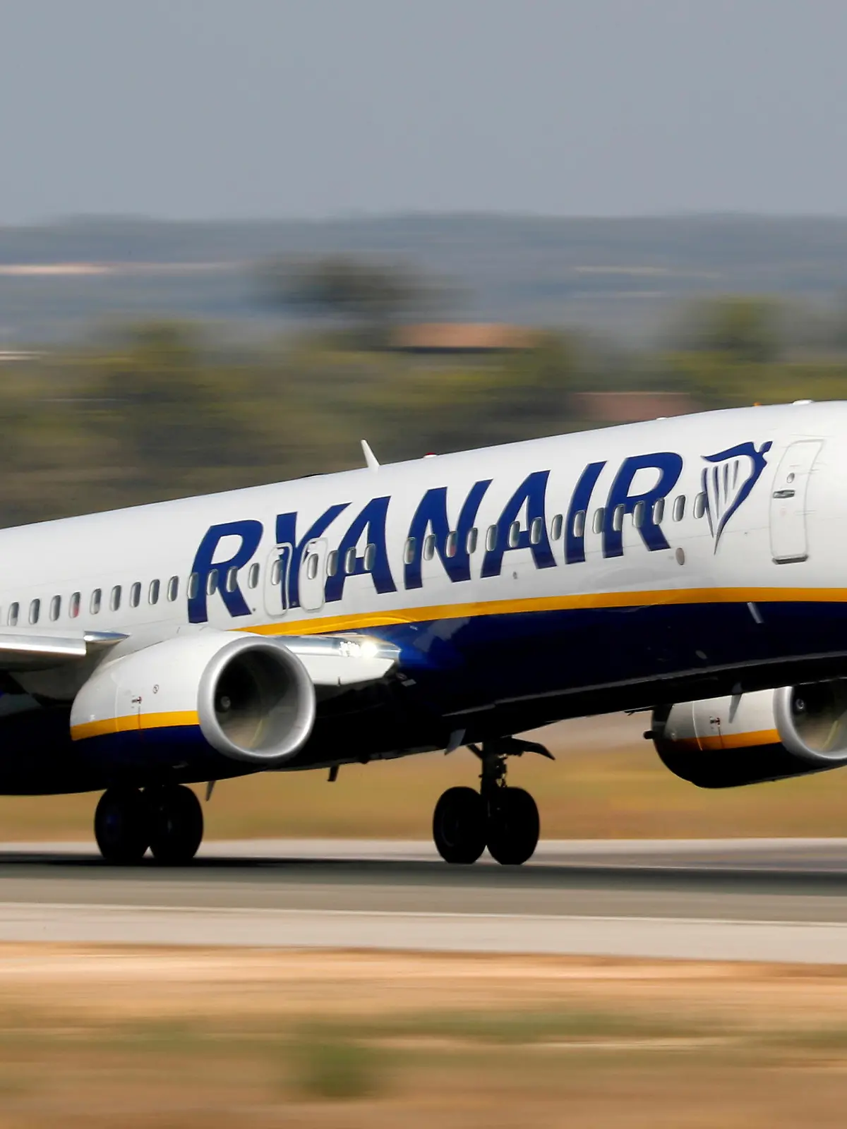 FILE PHOTO: A Ryanair Boeing 737-800 airplane takes off from the airport in Palma de Mallorca, Spain, July 29, 2018.  REUTERS/Paul Hanna/File Photo