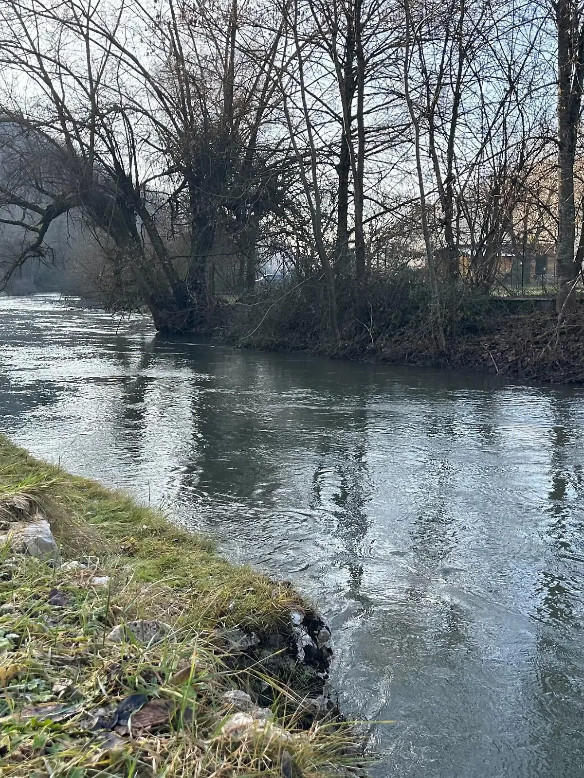 Ein Fluss mit Bäumen am Ufer.