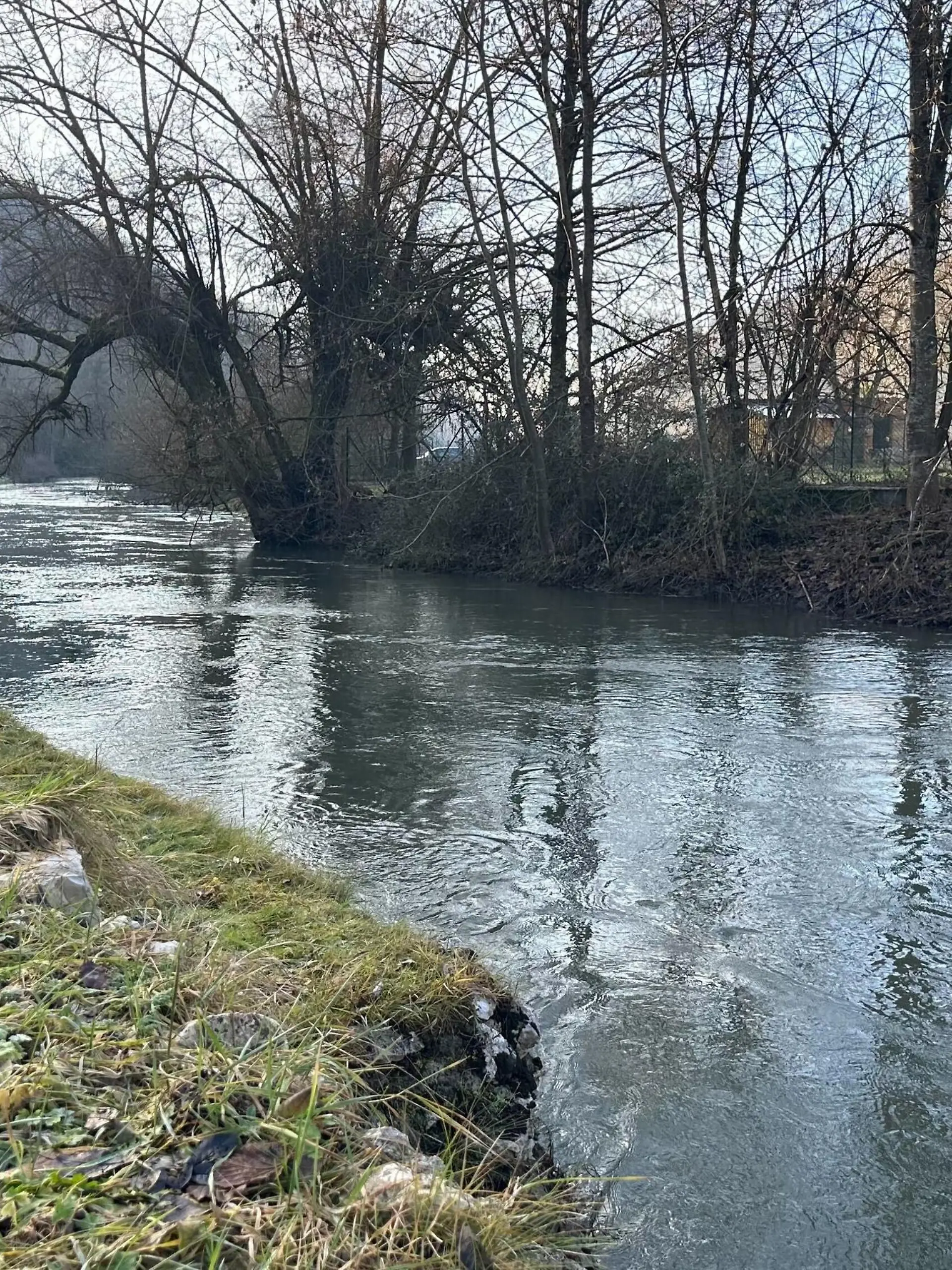 Ein Fluss mit Bäumen am Ufer.