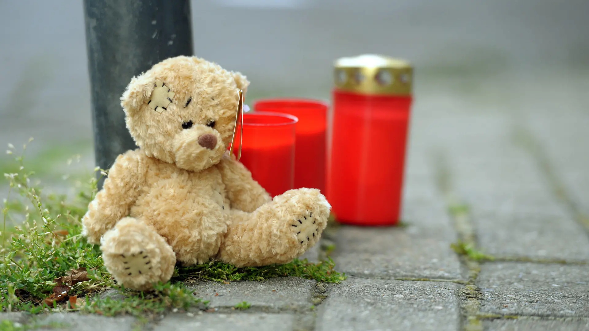 Ein Teddybär und Friedhofskerzen stehen am Donnerstag (09.08.2012) an einer Straßenecke in Oberhausen. Nach der Bluttat an einem achtjährigen Kind in Oberhausen hat die Polizei erste Details bekanntgegeben. Demnach ging der 27 Jahre alte Verdächtige im Kinderzimmer mit einem Messer auf den Jungen los. Das Kind starb später im Krankenhaus. Foto: Caroline Seidel dpa/lnw (zu dpa 0346 vom 09.08.2012)  +++(c) dpa - Bildfunk+++