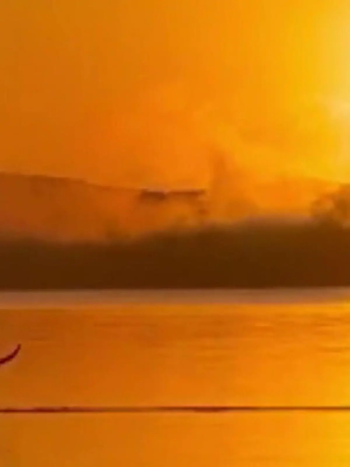 An der Ostküste Australien genießen Touristen und ein Känguru gemeinsam die aufgehende Sonne. Die besonderen Aufnahmen seht ihr im Video.