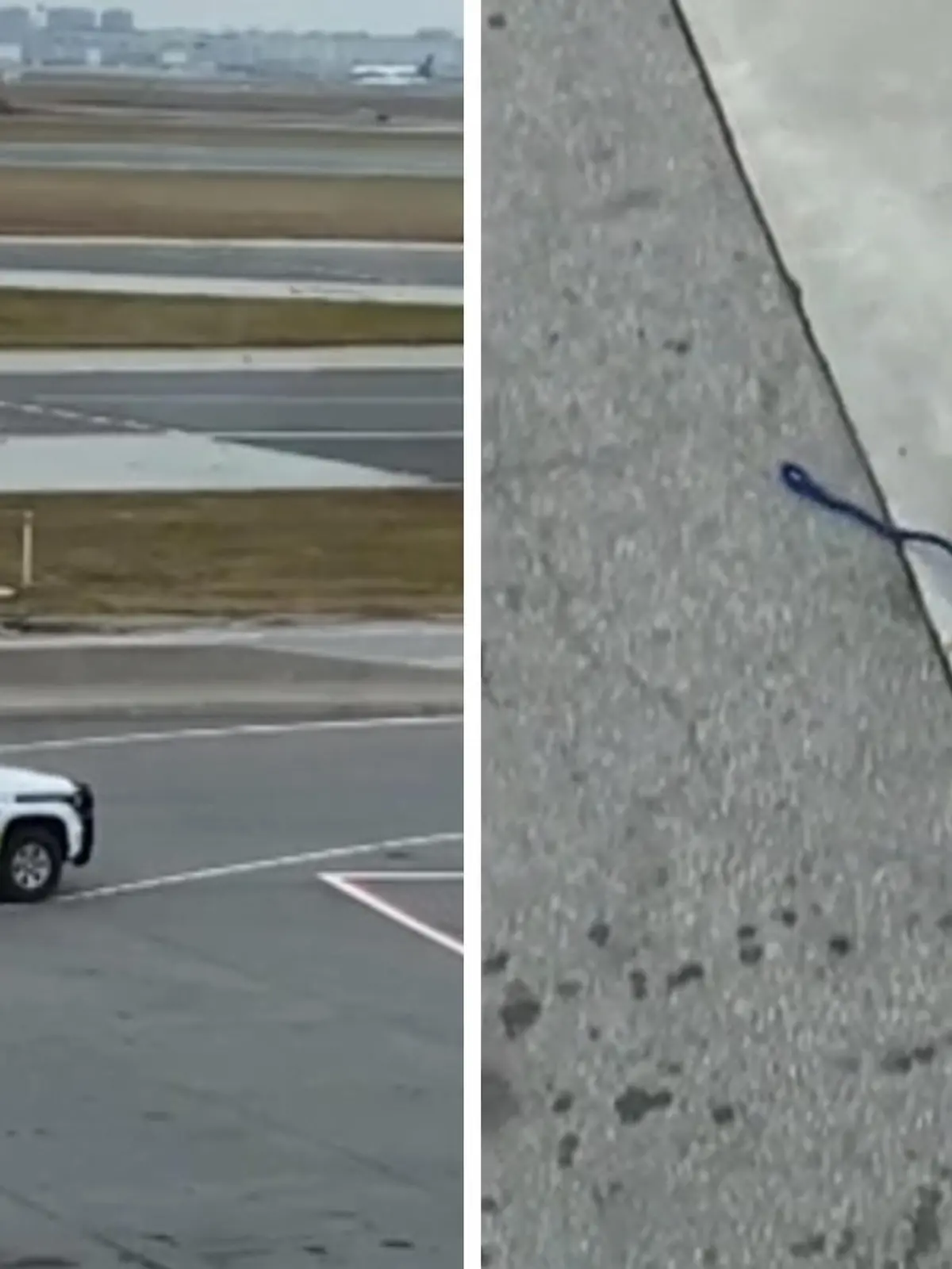 Am Flughafen in Toronto (Kanada) sorgt eine Hündin für Trubel. Die Pitbulldame Brandy ist kurz vor dem Boarding aus ihrer Transportbox abgehauen und über die Landebahn gerannt. Die Security hat eine Viertelstunde gebraucht, um den schnellen Hund einzufangen. Danach konnte sie zurück zu ihren Besitzern gebracht werden.