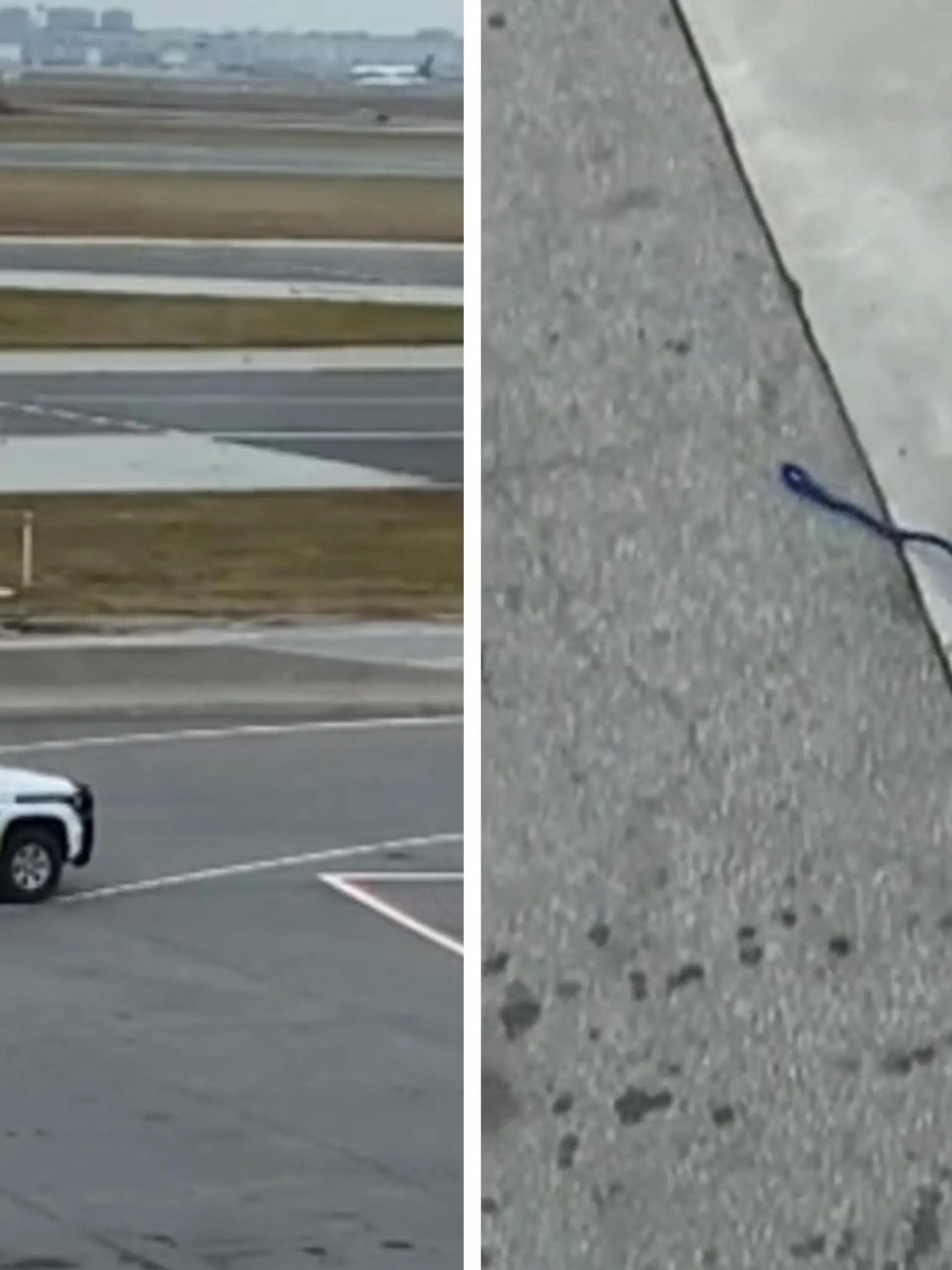 Am Flughafen in Toronto (Kanada) sorgt eine Hündin für Trubel. Die Pitbulldame Brandy ist kurz vor dem Boarding aus ihrer Transportbox abgehauen und über die Landebahn gerannt. Die Security hat eine Viertelstunde gebraucht, um den schnellen Hund einzufangen. Danach konnte sie zurück zu ihren Besitzern gebracht werden.