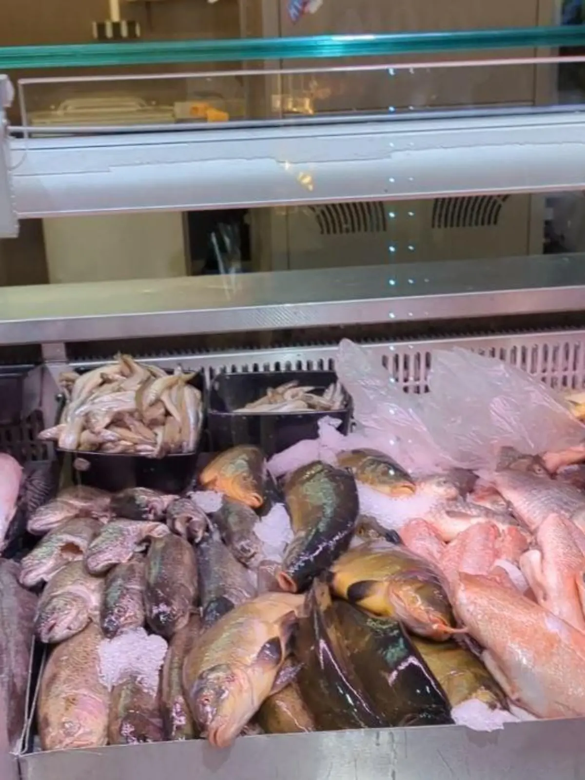 Schwere Vorwürfe an Leimener Supermarkt: Karpfen in Fischtheke erstickt