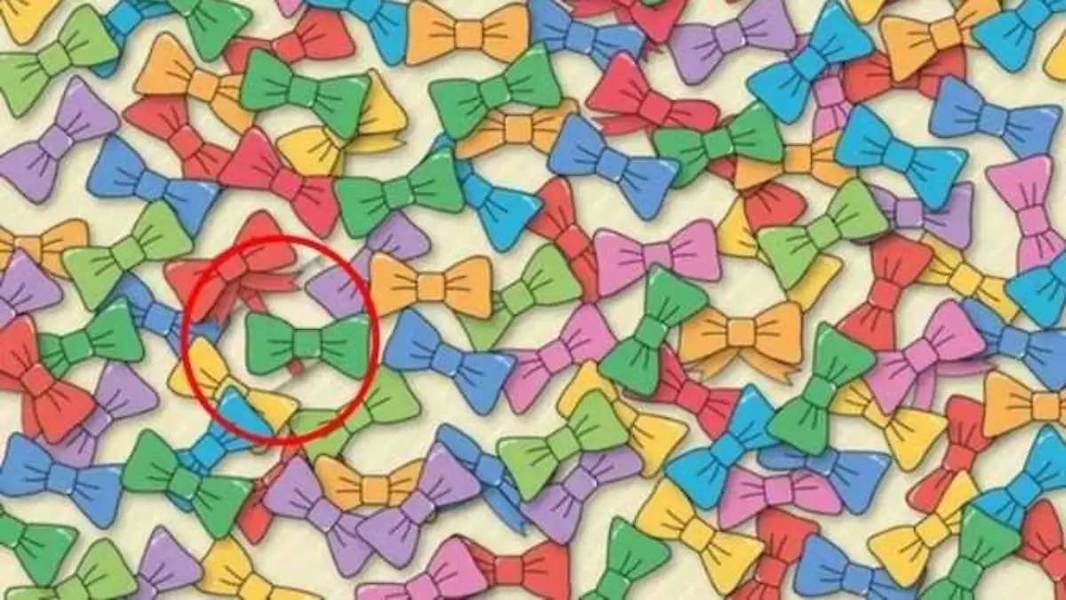 Suchbild Auflösung: Das versteckte Geschenk befindet sich links unten.