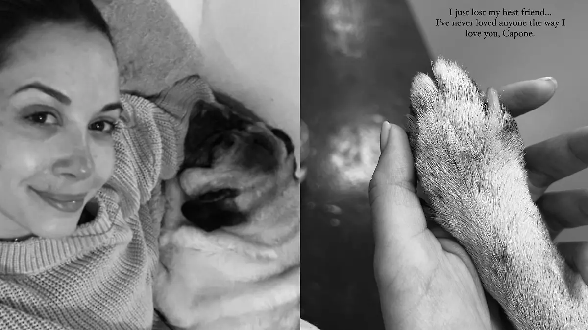 Mandy Capristo und Mops Capone