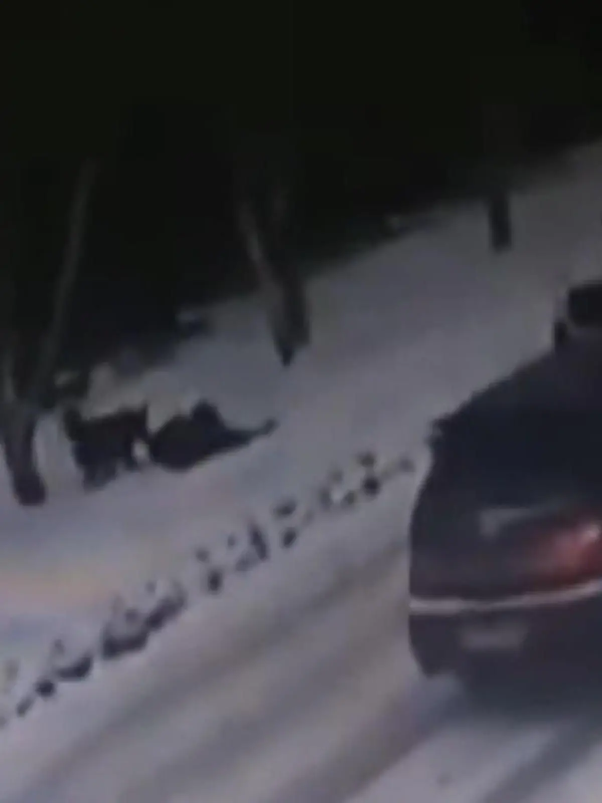 Der Spaziergang für eine Teenagerin in Biysk in Südrussland hat schwere Folgen. Sie läuft an einer verschneiten Fahrbahn entlang, als plötzlich ein Hund auf sie zugestürmt kommt und nicht mehr von ihr ablässt. Zum Glück bemerkt ein Autofahrer die dramatische Szene am Straßenrand und hält an. Die Bilder und wie es dem Mädchen geht, seht ihr im Video.