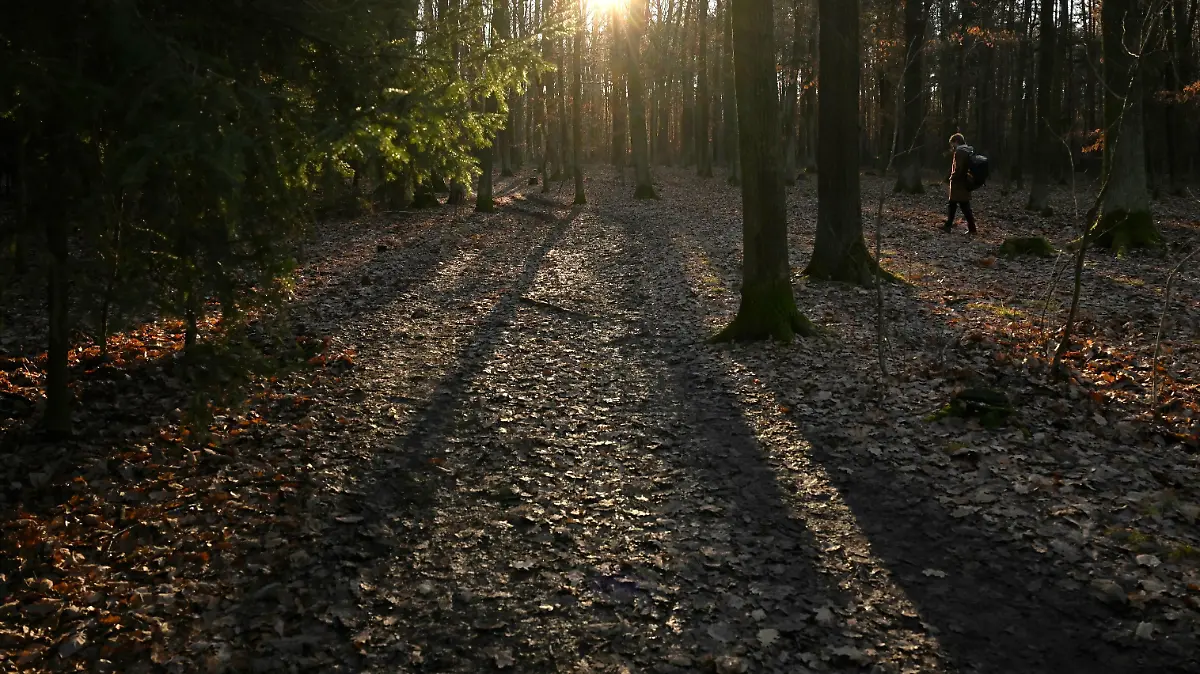 The crime scene of the double murder at Klanovice Forest, Prague, Czech Republic, pictured on December 18, 2023. Two people, one of them a child, were found dead in the Klanovice neighbourhood on the eastern outskirts of Prague on December 15, 2023. Several dozen police officers are working to solve the double murder. CTKxPhoto/MichaelaxRihova CTKPhotoP2023121804002 PUBLICATIONxNOTxINxCZExSVK CTKPhotoP2023121804002