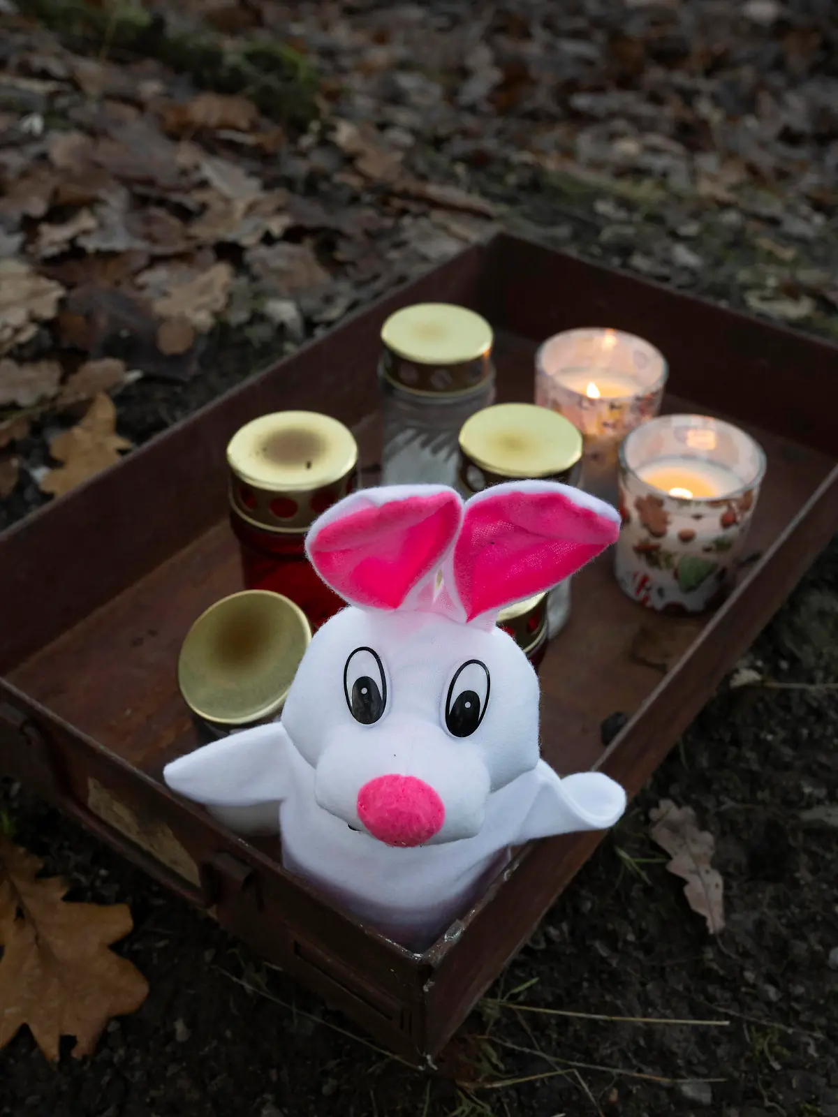 An improvised place of worship at the crime scene of the double murder at Klanovice Forest, Prague, Czech Republic, pictured on December 18, 2023. Two people, one of them a child, were found dead in the Klanovice neighbourhood on the eastern outskirts of Prague on December 15, 2023. Several dozen police officers are working to solve the double murder. CTKxPhoto/MichaelaxRihova CTKPhotoP2023121805334 PUBLICATIONxNOTxINxCZExSVK CTKPhotoP2023121805334