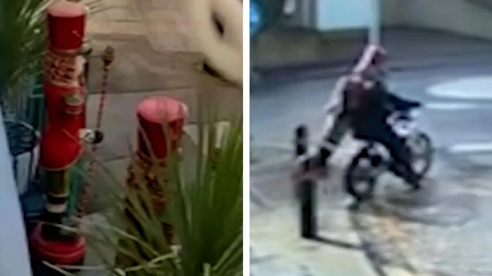 Dreiste Diebe klauen XXL-Nussknacker