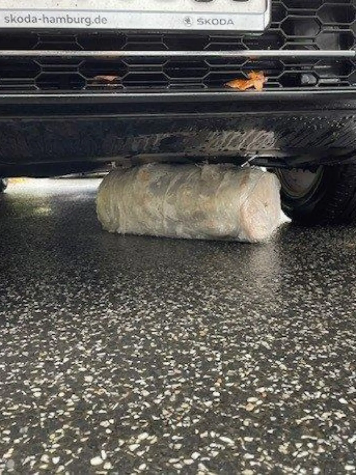 HANDOUT - 21.10.2022, Rheinland-Pfalz, Linz am Rhein: Ein Dönerspieß liegt verkeilt unter einem Auto (beste verfügbare Qualität).    (zu dpa «Dönerspieß verkeilt sich unter Auto») Foto: Polizeiinspektion Linz am Rhein/dpa - ACHTUNG: Nur zur redaktionellen Verwendung im Zusammenhang mit der aktuellen Berichterstattung und nur mit vollständiger Nennung des vorstehenden Credits +++ dpa-Bildfunk +++