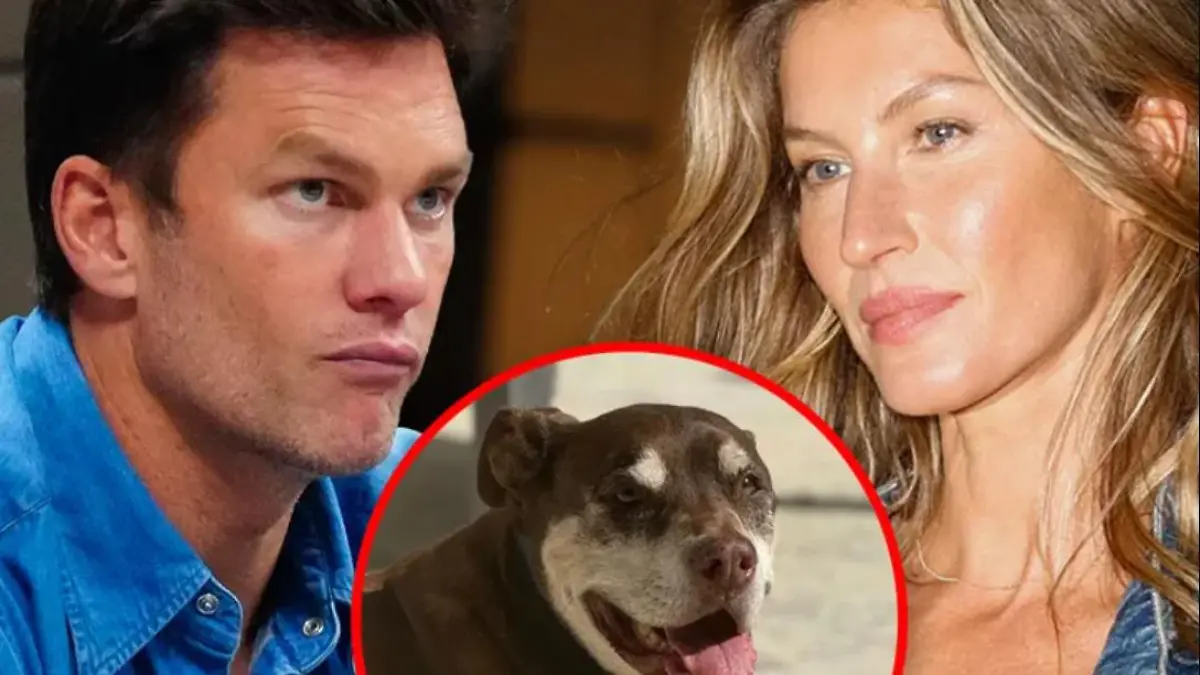 Sie vermissen sie sooo sehr: Tom Brady und Gisele Bündchen trauern um ihren Hund!